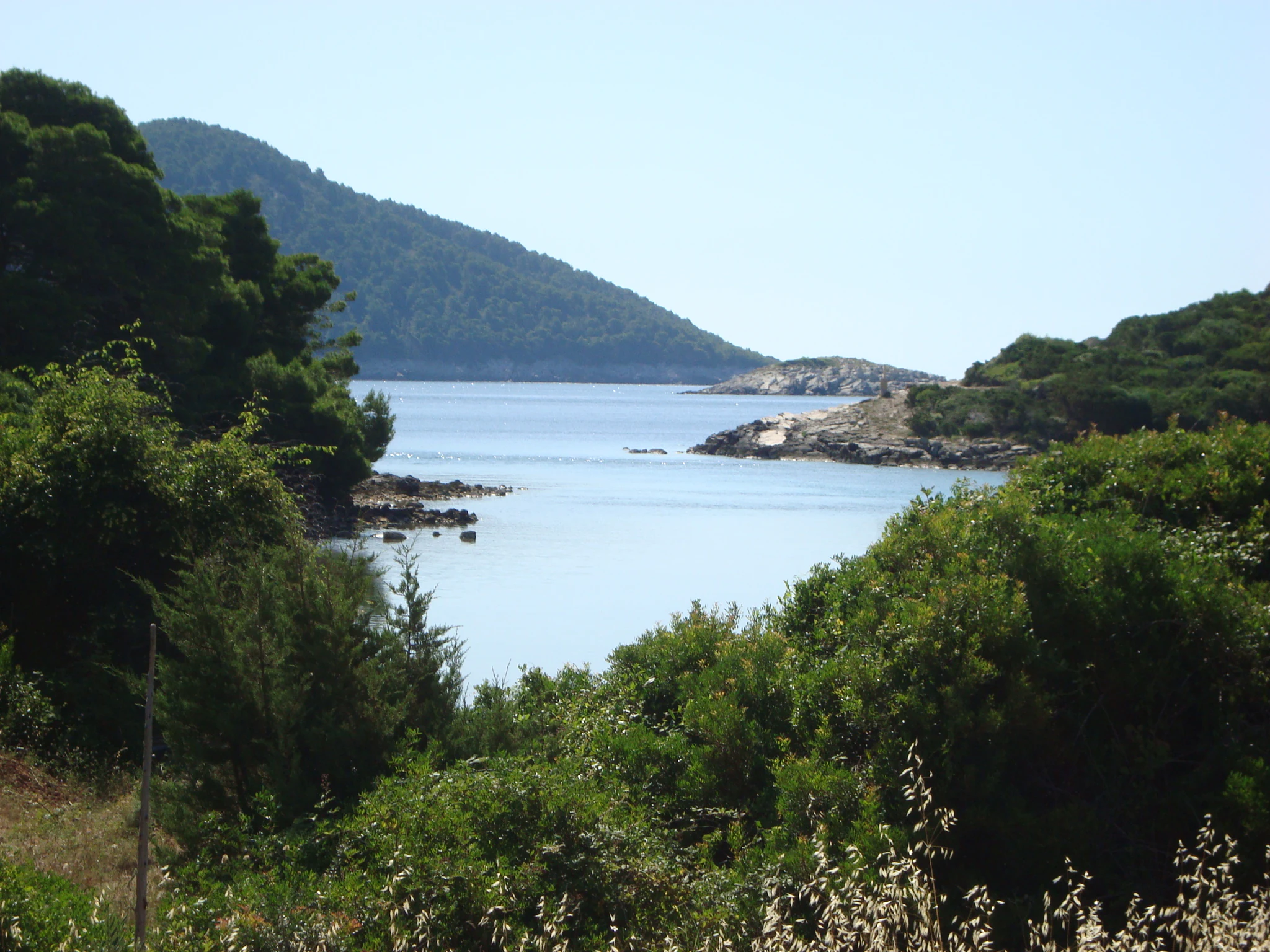 Lush green vegetation surrounding a calm body of water with rocky shoreline and distant hills under a clear sky