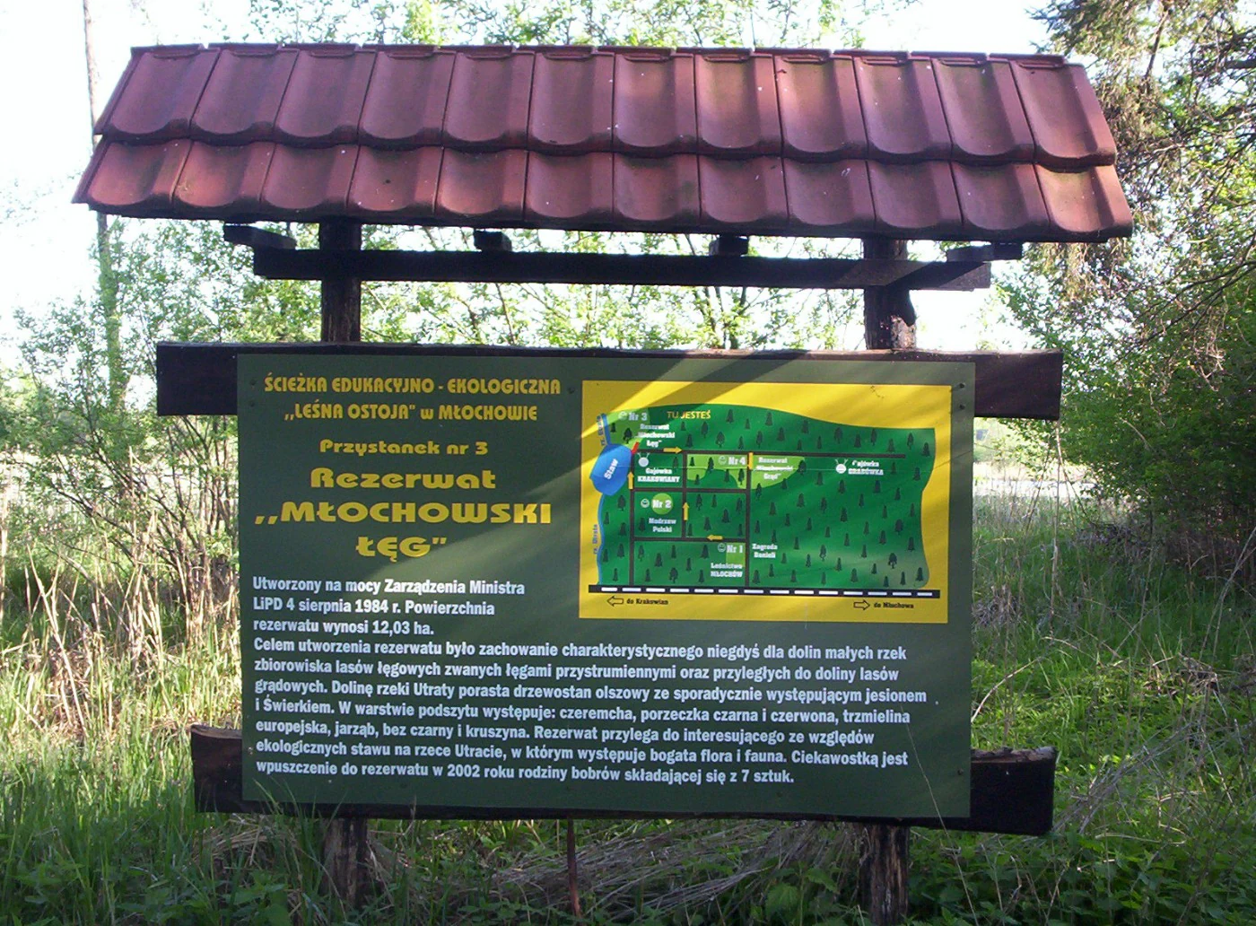 An outdoor educational information sign with a red tiled roof stands in a forest setting; the sign features text in Polish and a small map of the Młochowski Łęg Nature Reserve.