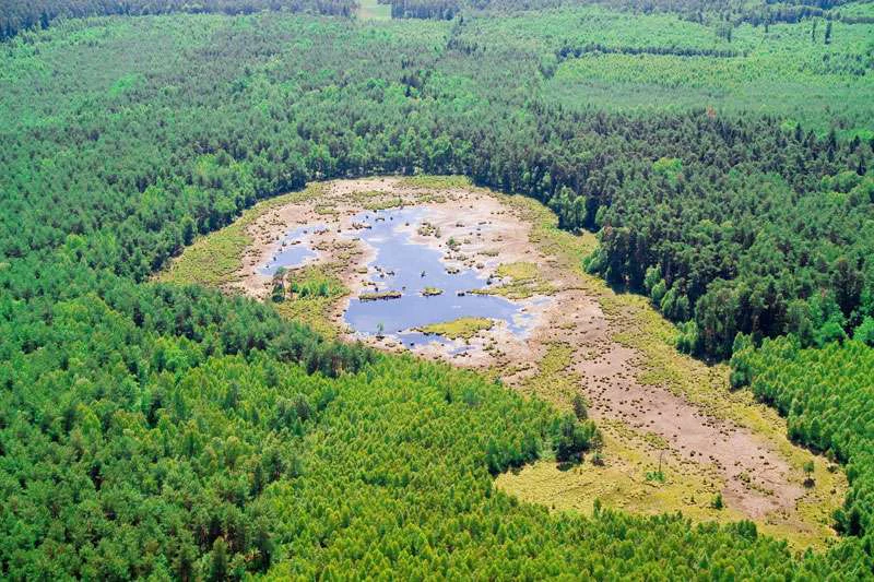 An aerial view of the Moczydlo Nature Reserve showing a central marshy wetland area surrounded by a lush green forest canopy.