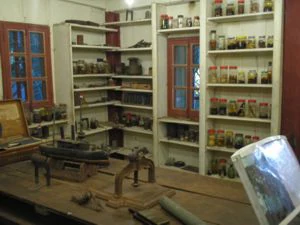 Vista interior de un laboratorio con bancos de trabajo de madera en primer plano y estanterías blancas alineadas en las paredes traseras, llenas de frascos de vidrio que contienen especímenes de historia natural conservados.