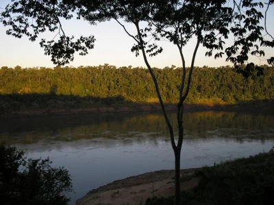 Una vista del río Paraná enmarcada por ramas de árboles en primer plano, con un denso bosque en la orilla opuesta bajo una luz dorada.