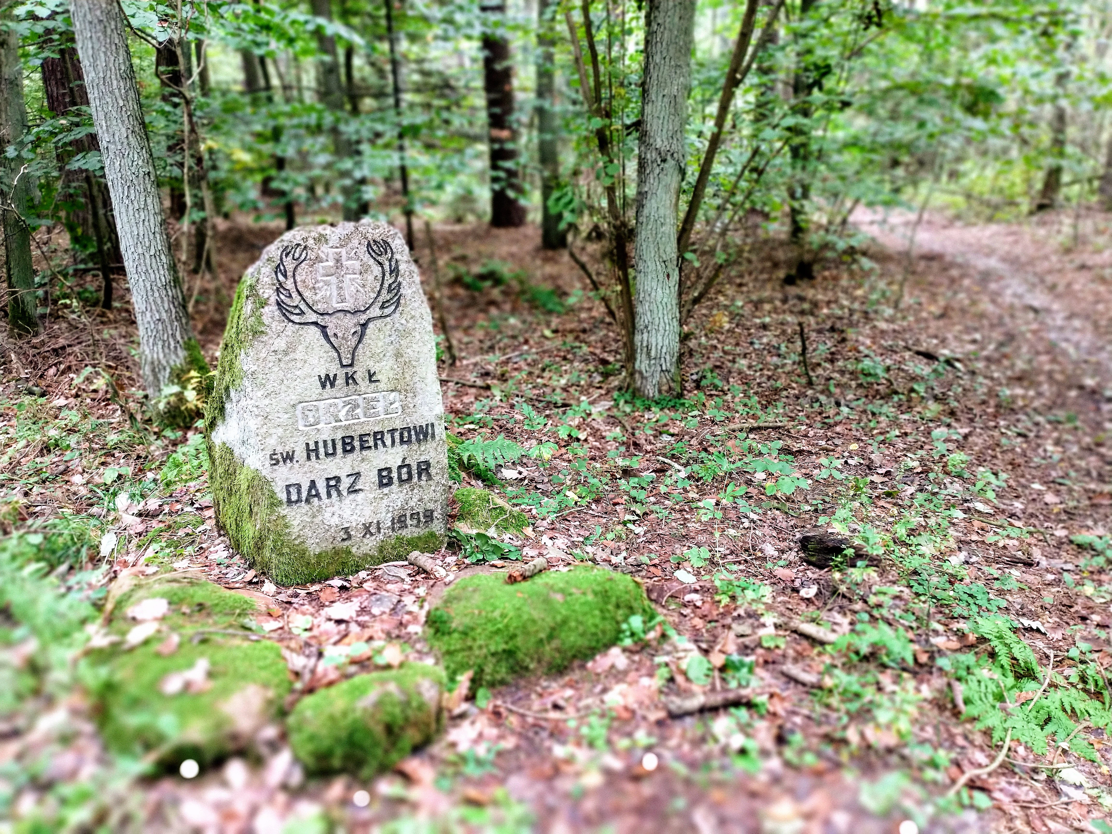 A weathered stone monument in a forest setting, featuring an engraved stag head emblem and Polish text, surrounded by mossy rocks and trees.