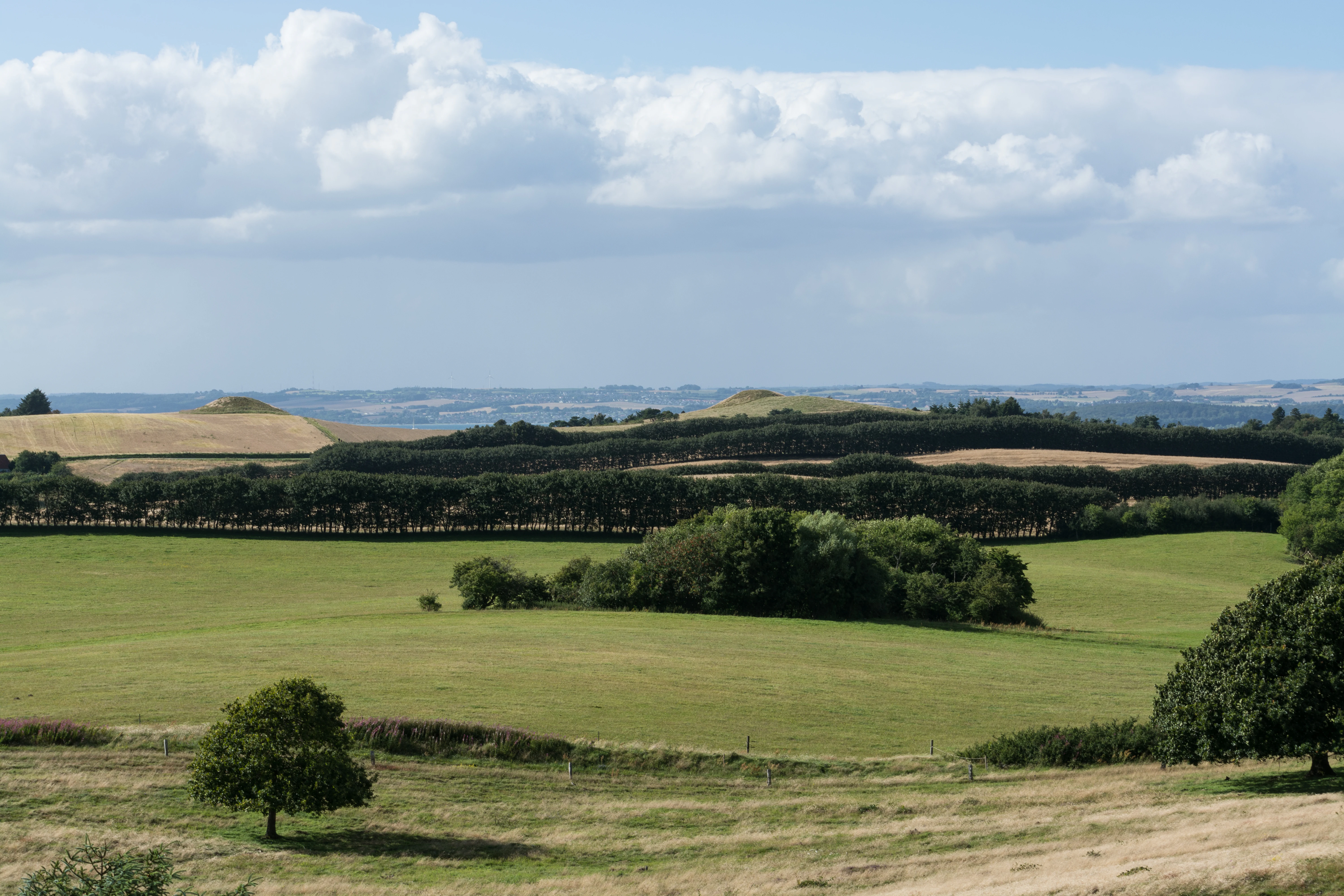 A wide, scenic view of the Danish countryside featuring rolling green hills, a tree-lined hedgerow, and small, rounded mounds in the distance under a partly cloudy blue sky.