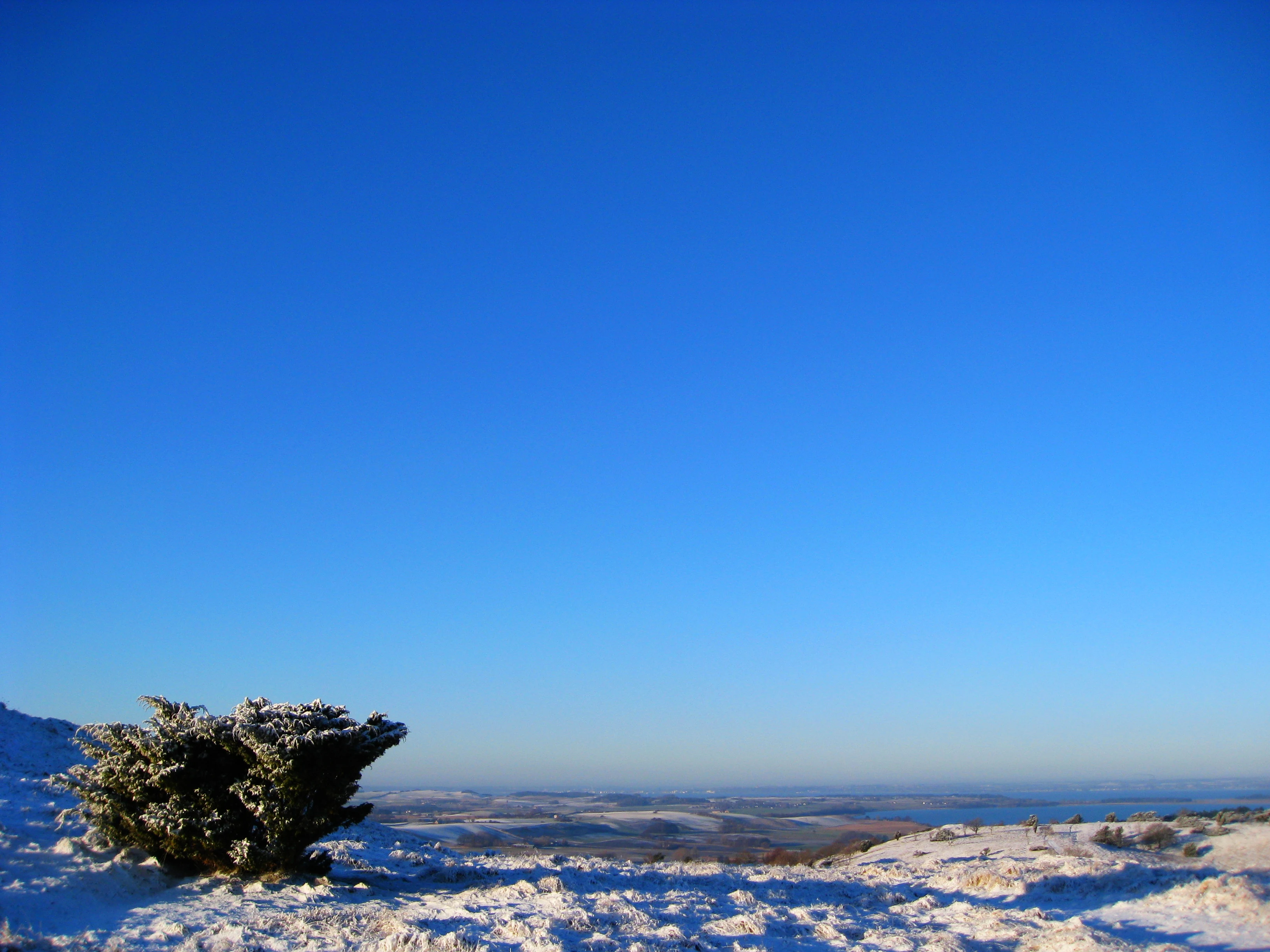 Snow-covered hillside with a small bush under a clear blue sky, distant landscape visible