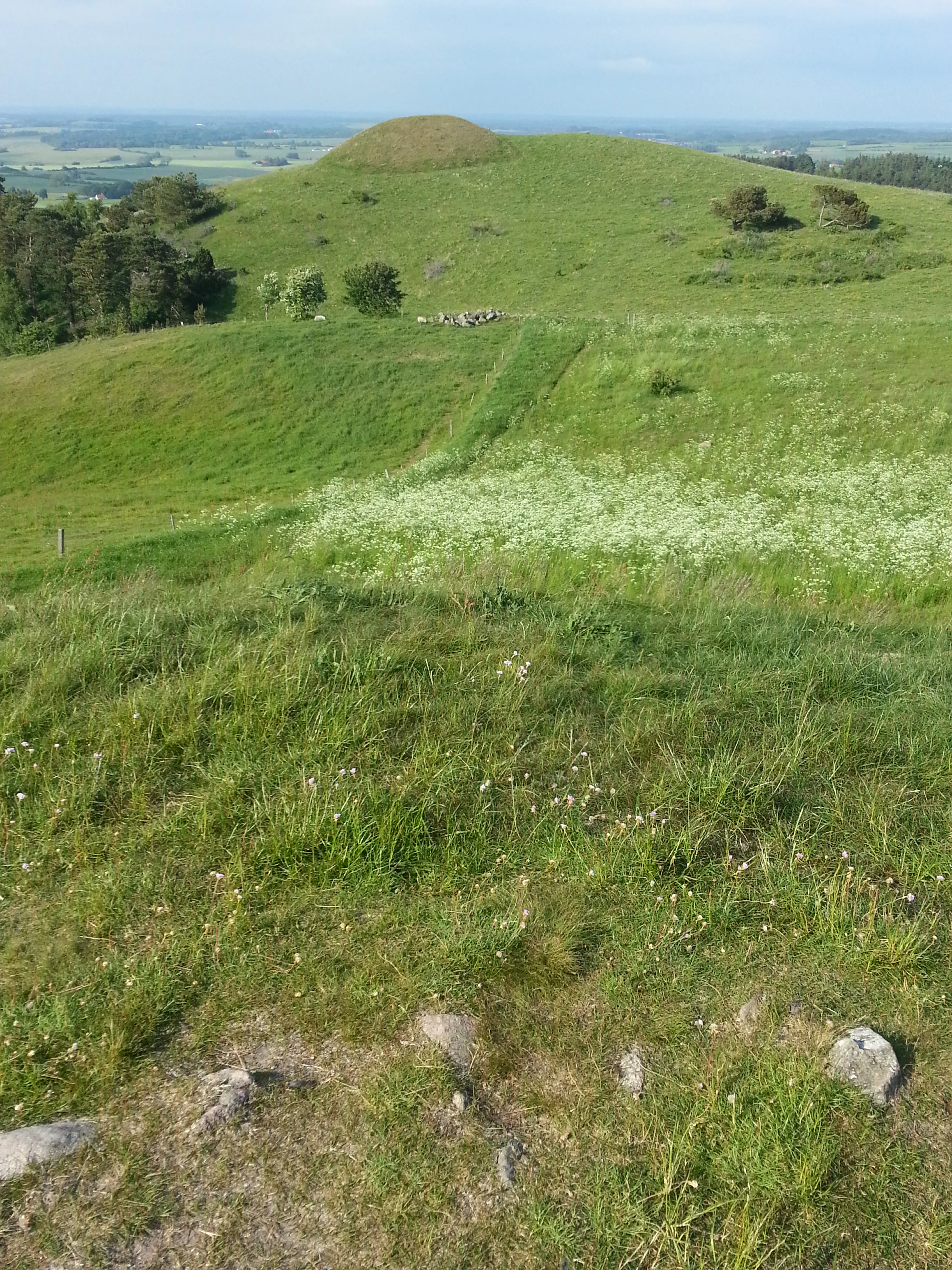 Grassy hill with a narrow path leading to a small mound under a partly cloudy sky, with scattered trees and wildflowers