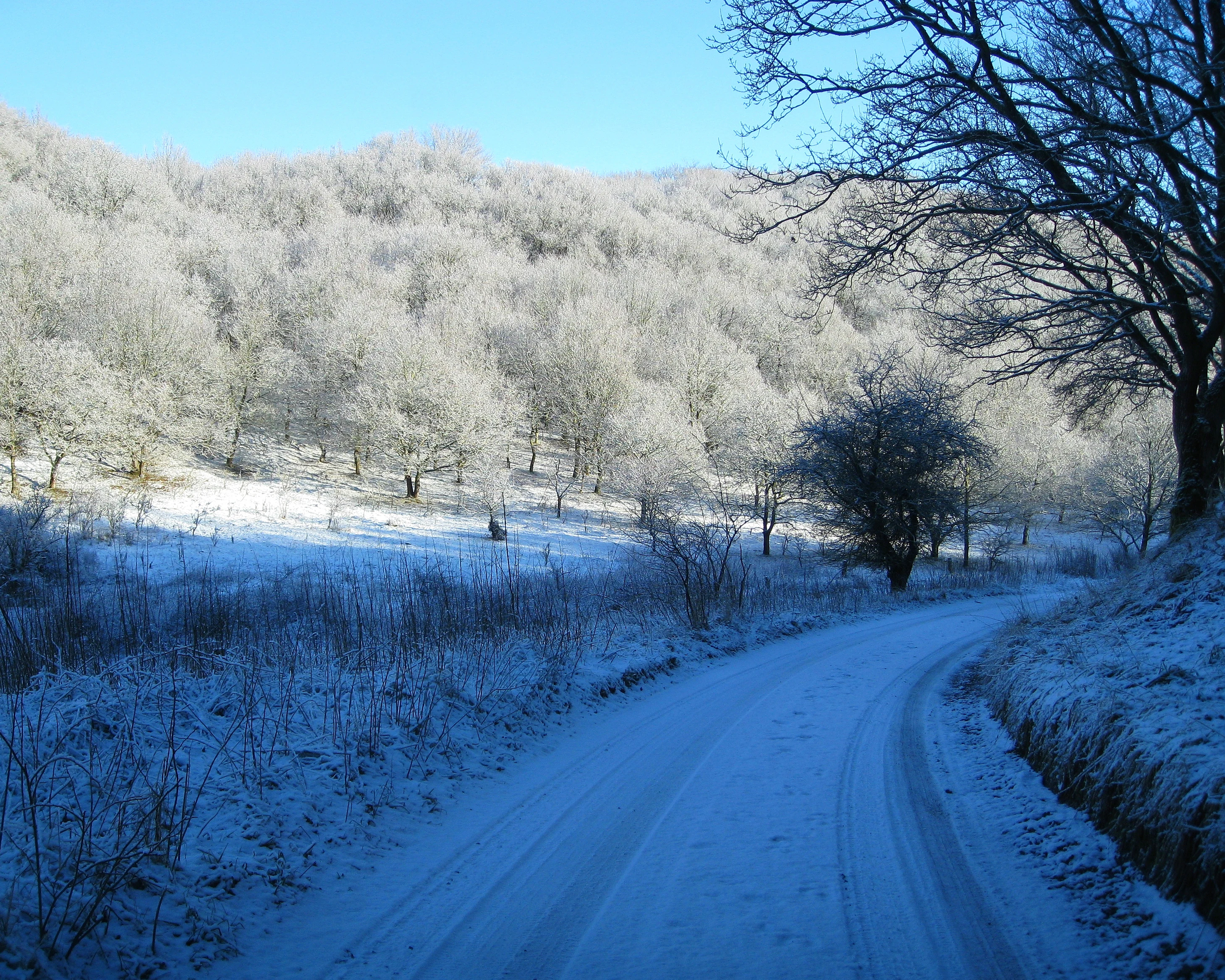 A snow-covered road with tire tracks, surrounded by frost-covered trees and hills under a clear blue sky