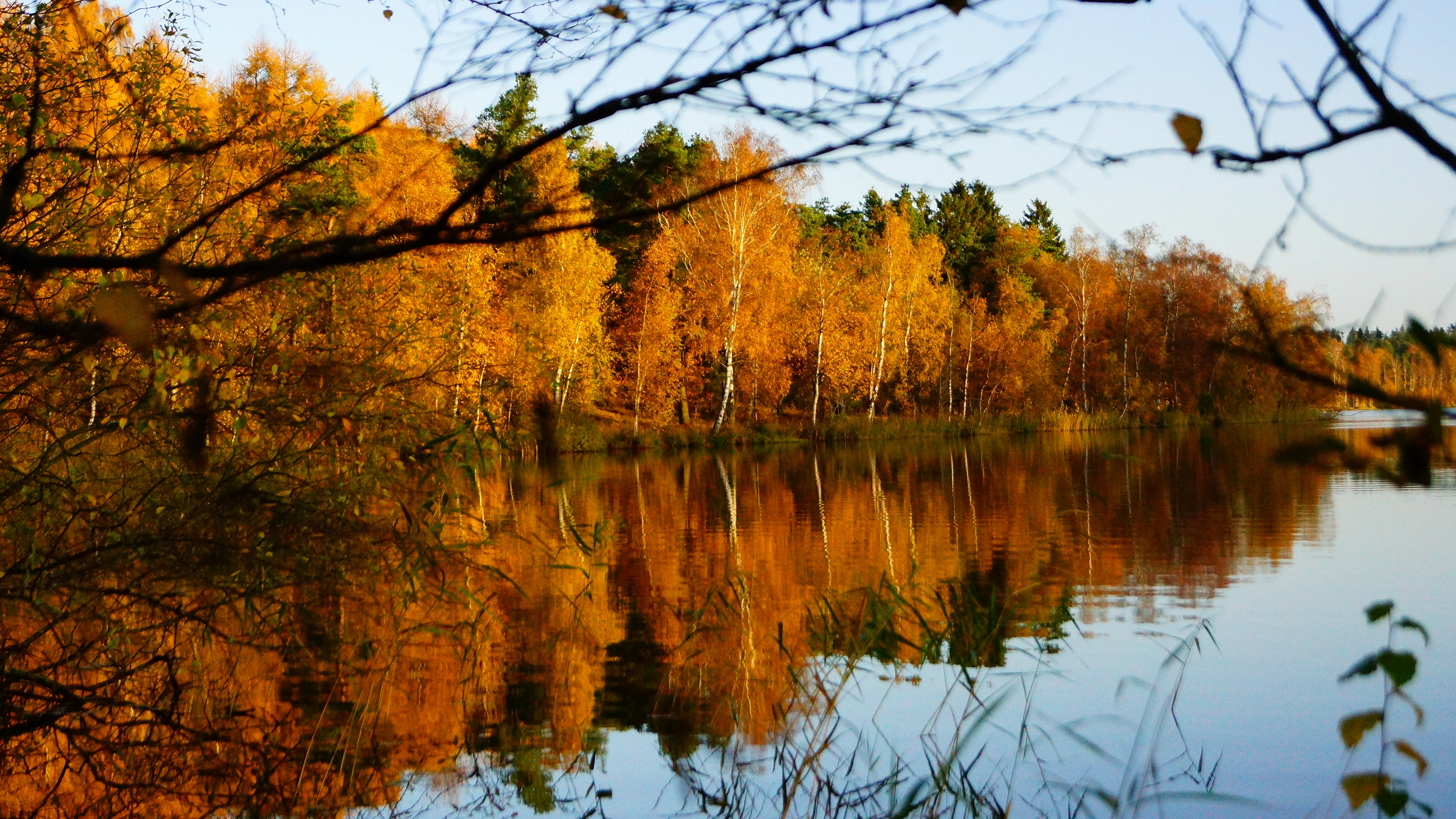 Lake with calm water reflecting golden and orange autumn trees, bare branches in foreground