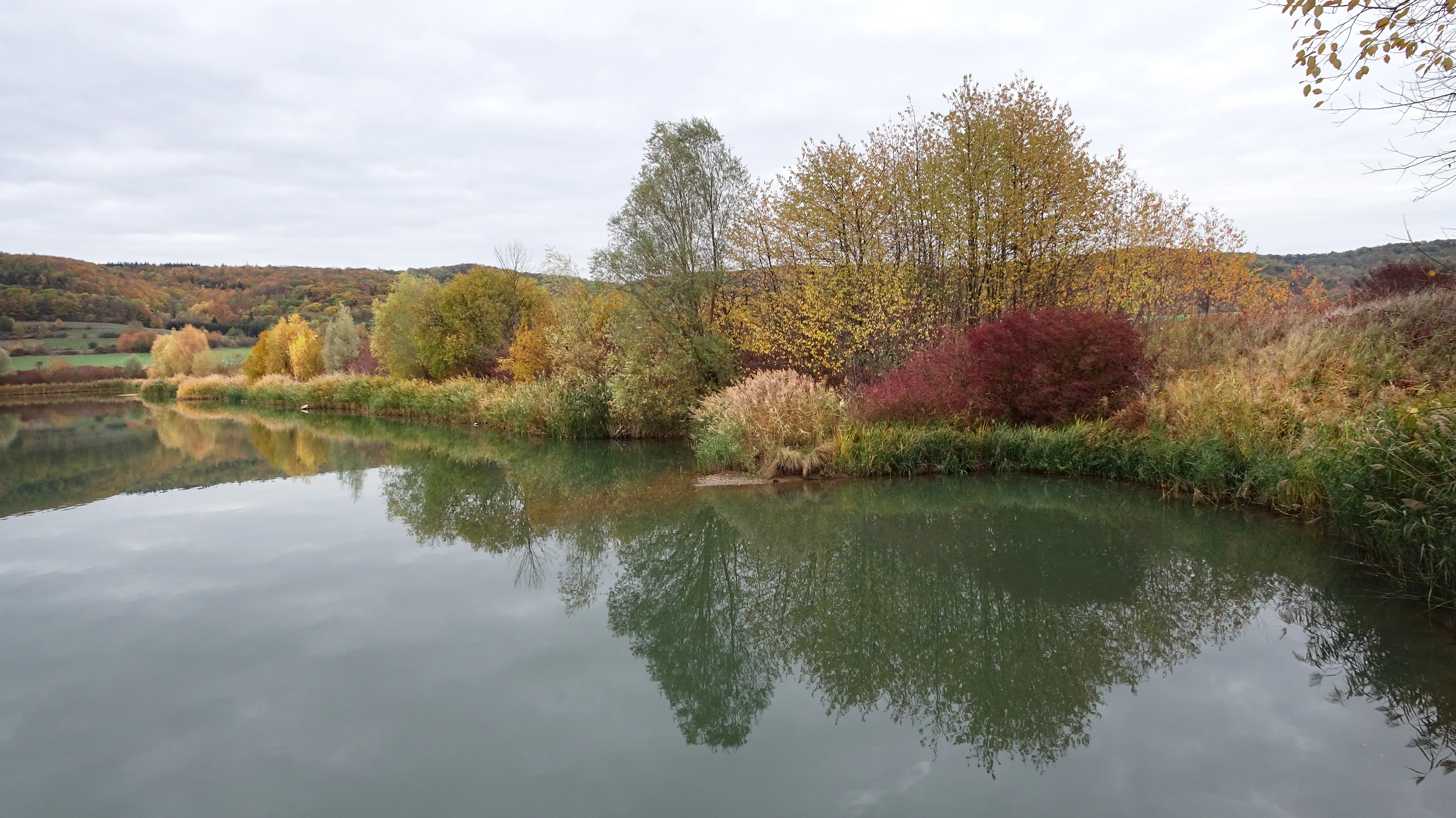 A calm lake reflects autumn-colored trees and bushes along the shoreline under an overcast sky at Mönchesrieth bei Grebendorf.