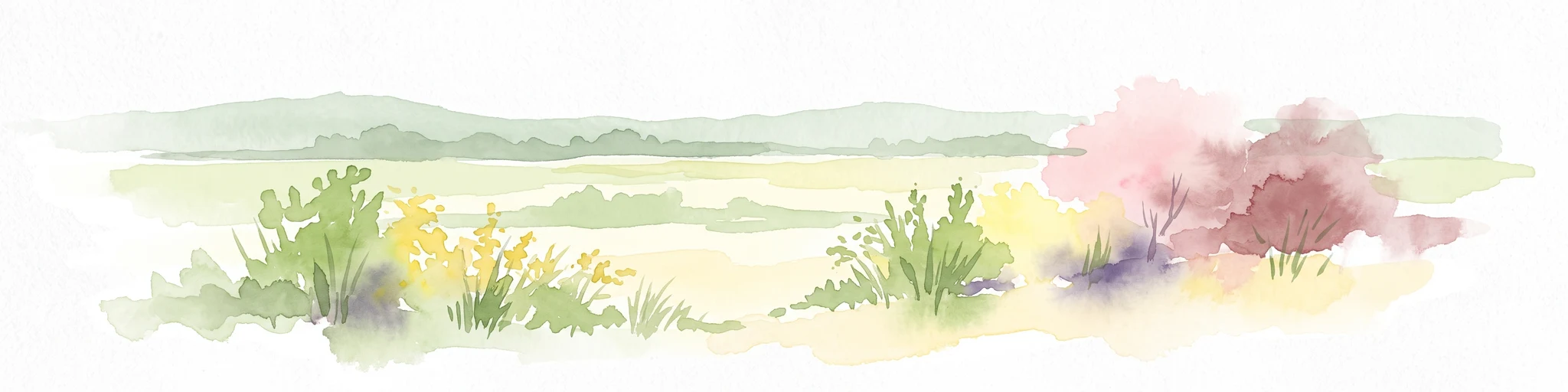A watercolor painting showing a soft, stylized landscape with rolling hills in the background and a variety of bushes and wild vegetation in the foreground.