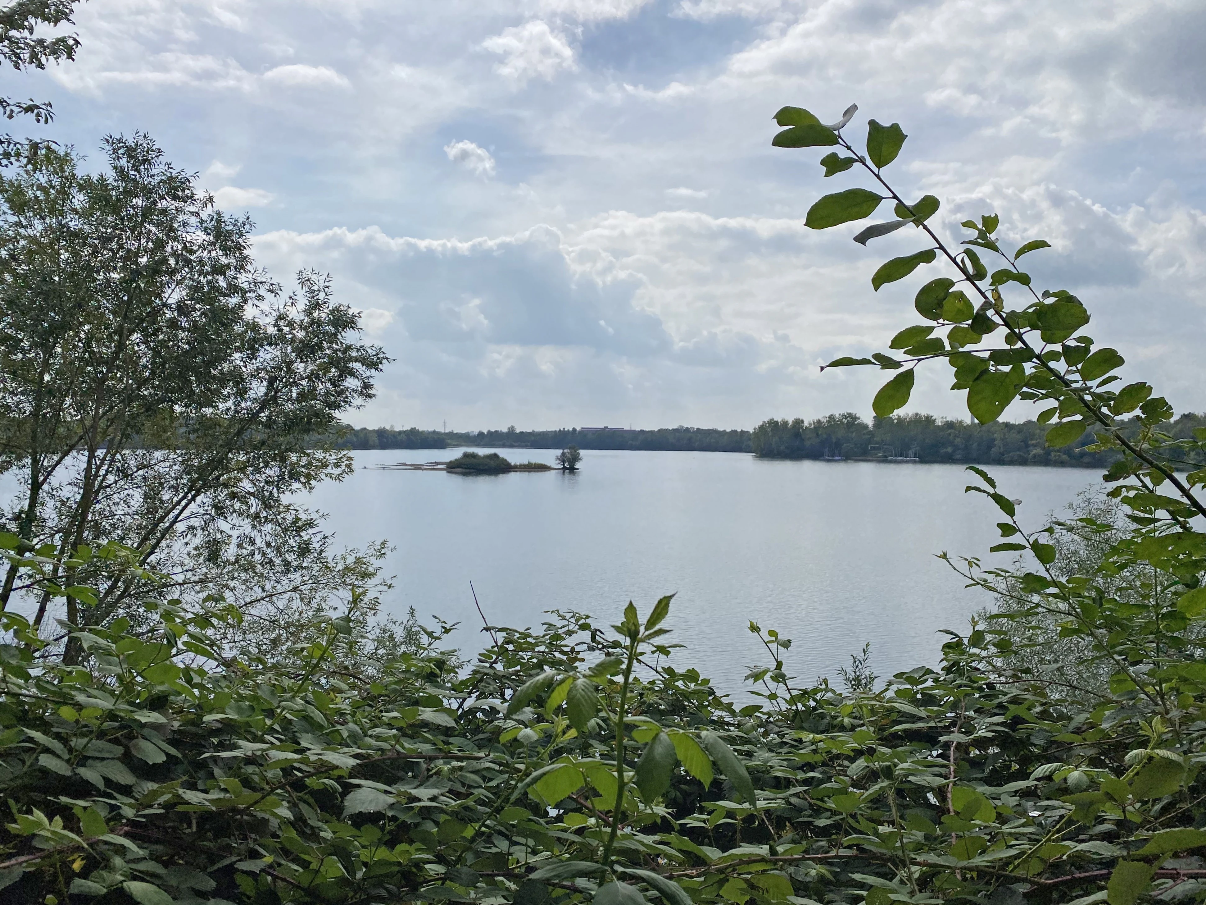 A calm lake viewed through lush green foliage from an elevated vantage point, with a small island visible in the center under a cloudy sky.