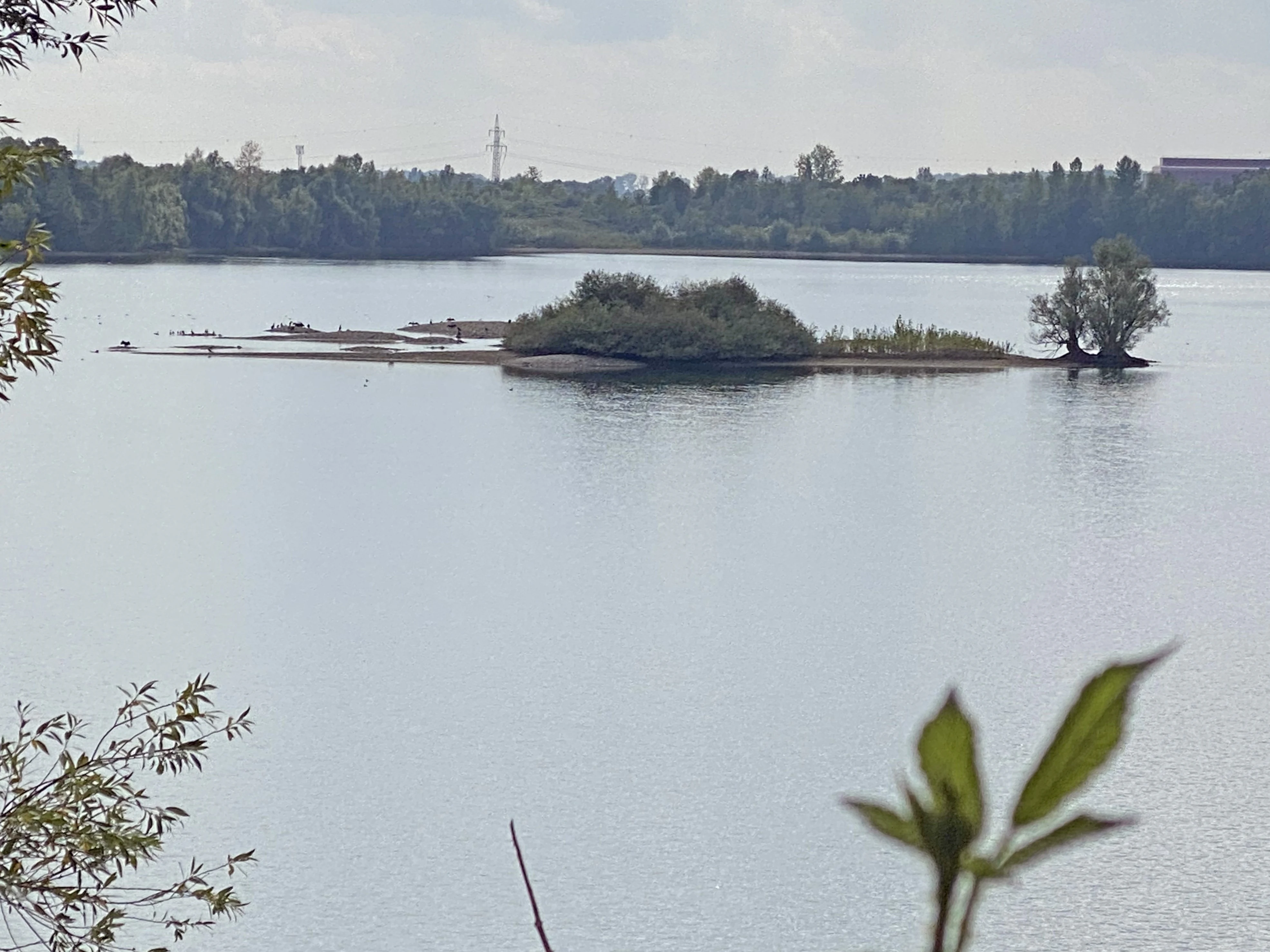 A calm lake featuring a small, vegetated island in the center, viewed from a slightly elevated position with blurred foliage in the foreground.