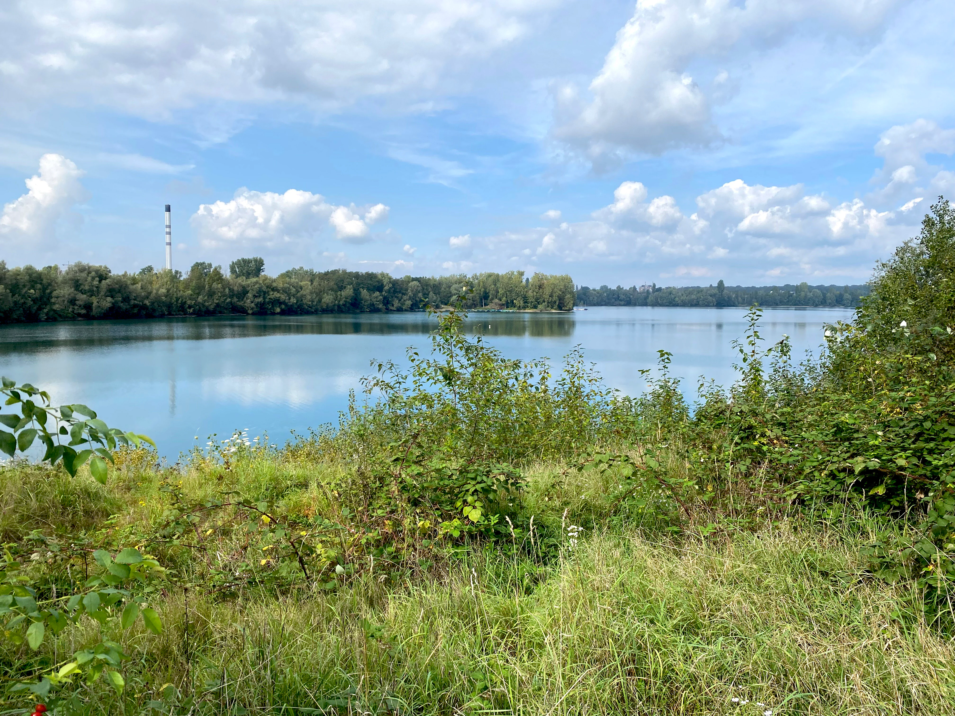 A peaceful, wide view of a calm lake under a partly cloudy sky, with tall grasses and shrubs in the foreground and a distant treeline.