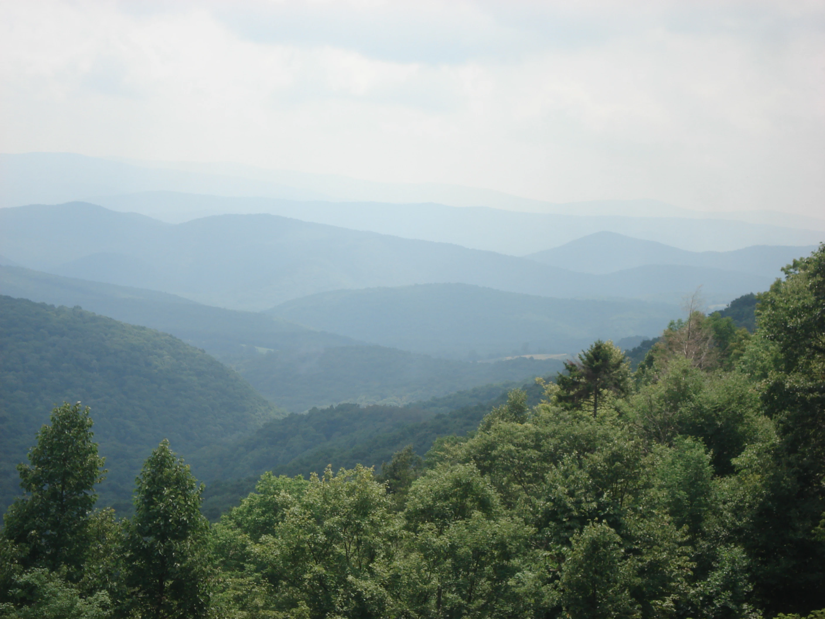 Monongahela National Forest view
