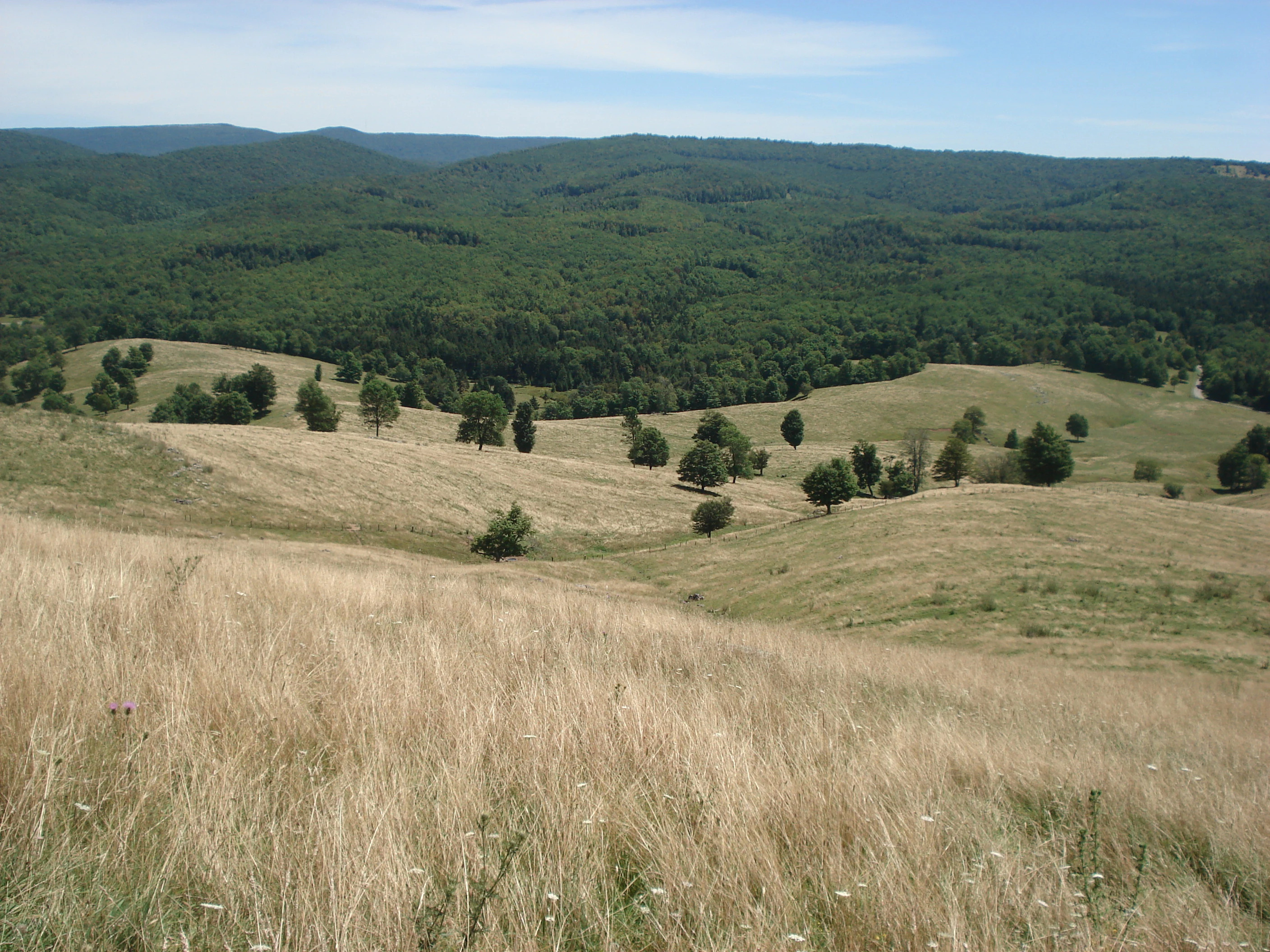 Yokum Knob view