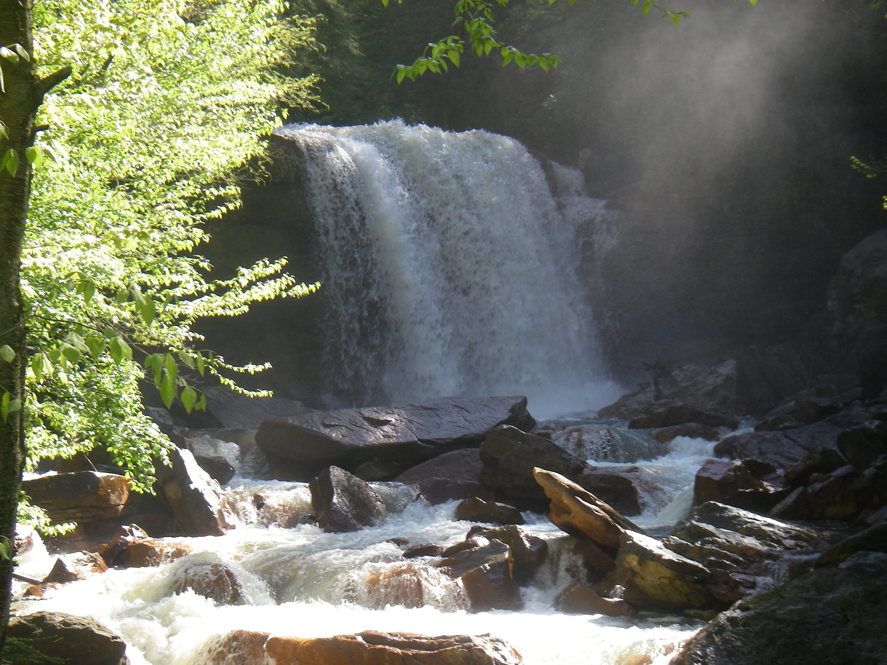 Douglas Falls