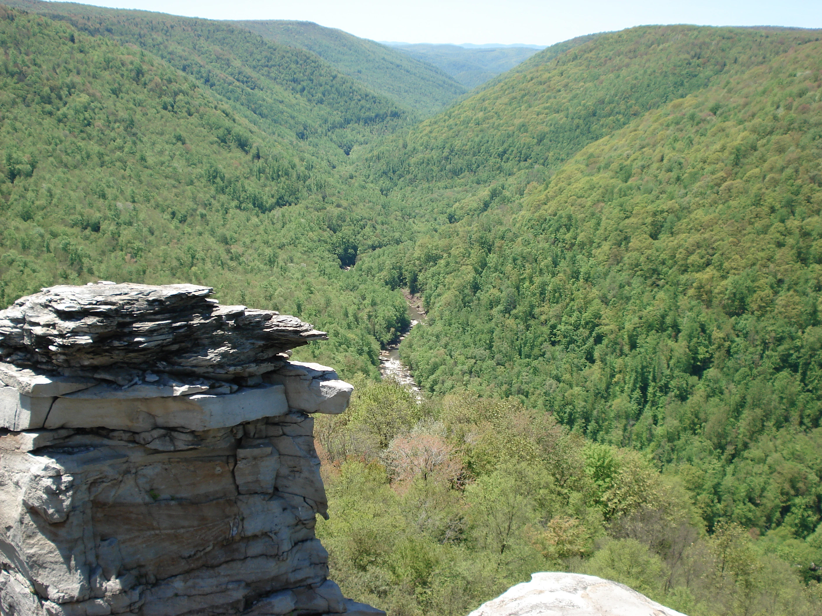 Blackwater Canyon