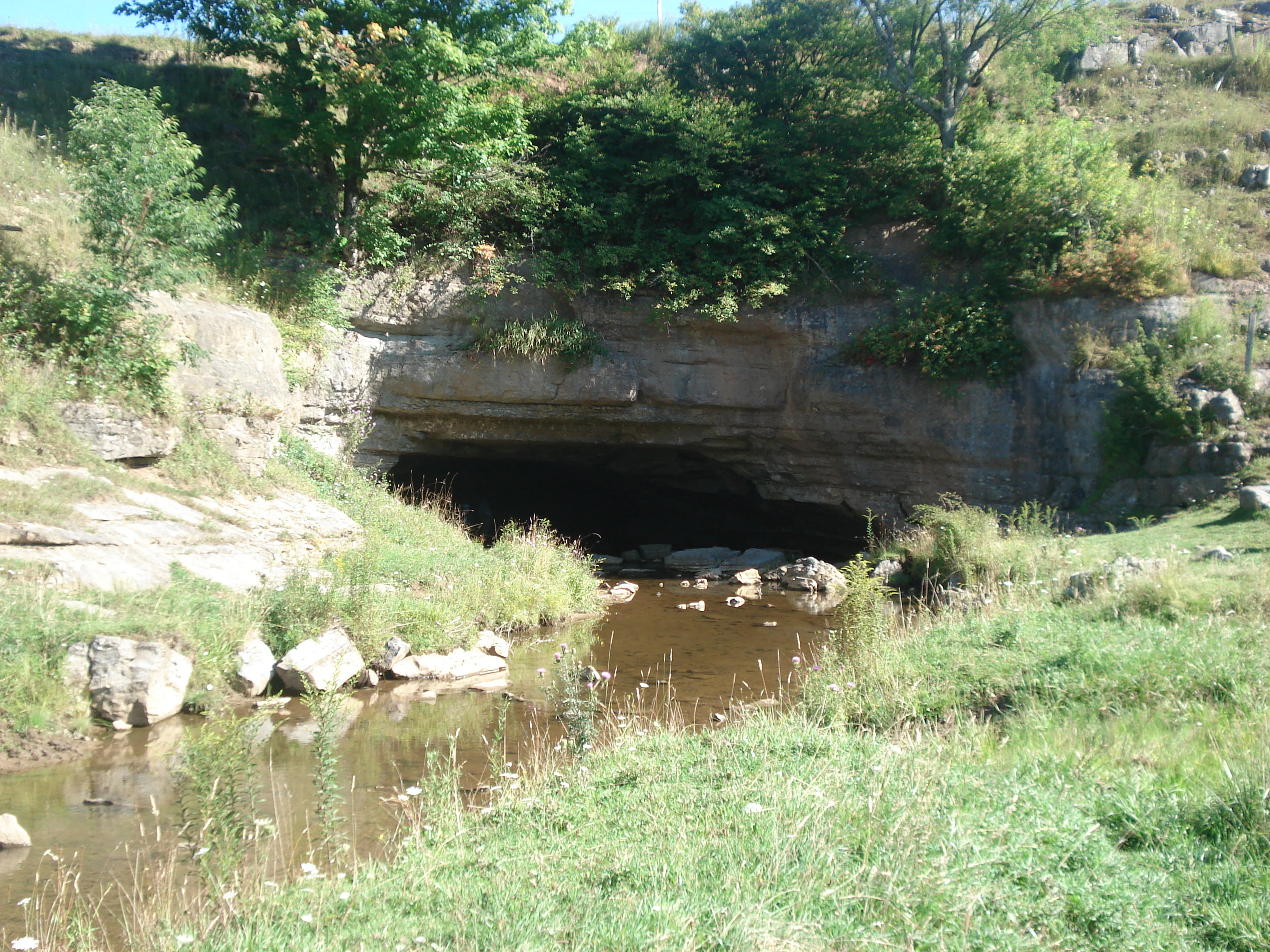 Sinks of Gandy Creek entrance