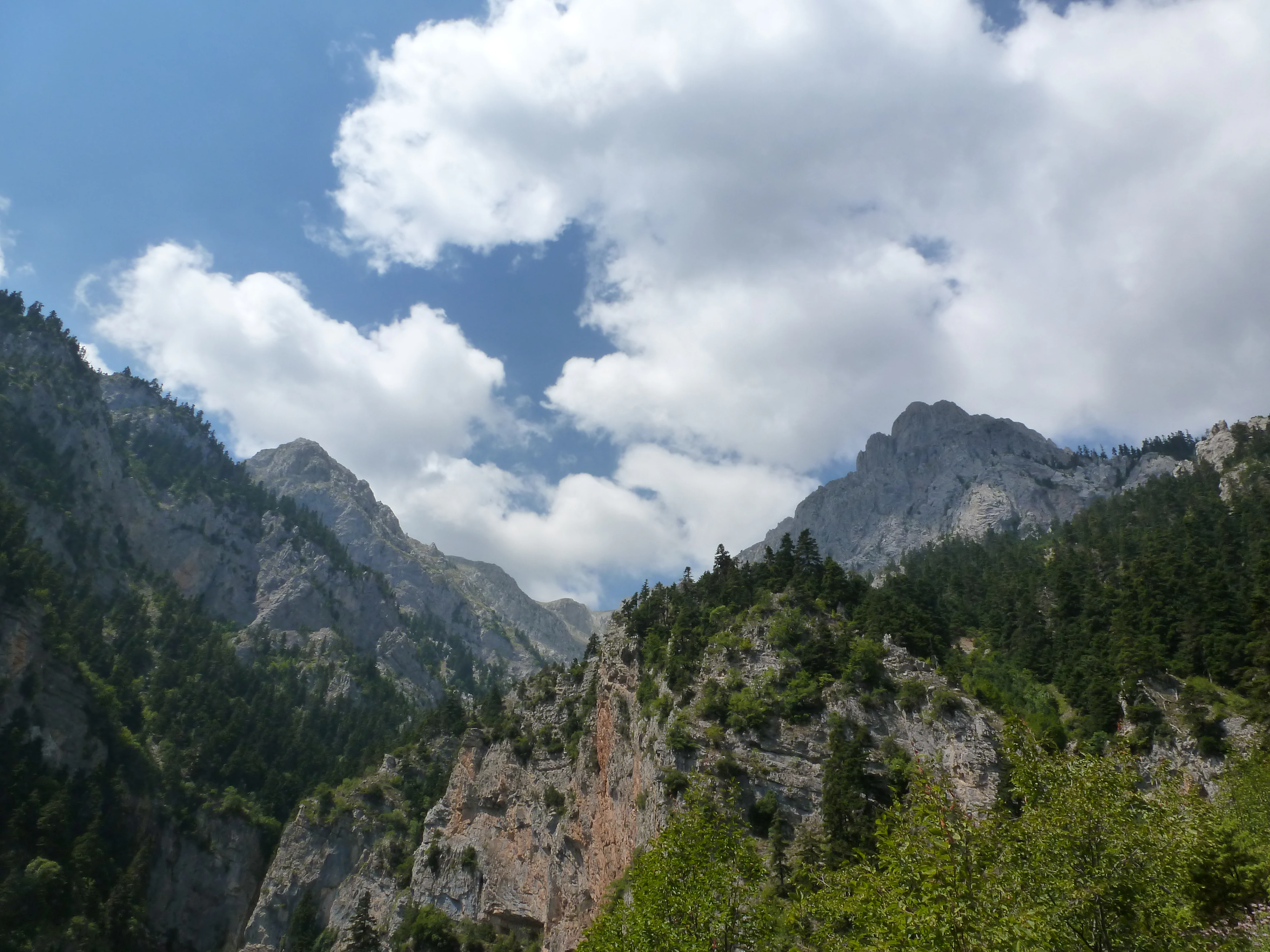 A wide view of a deep mountain gorge with steep, rocky cliffs covered in patches of forest, under a sky with white cumulus clouds.