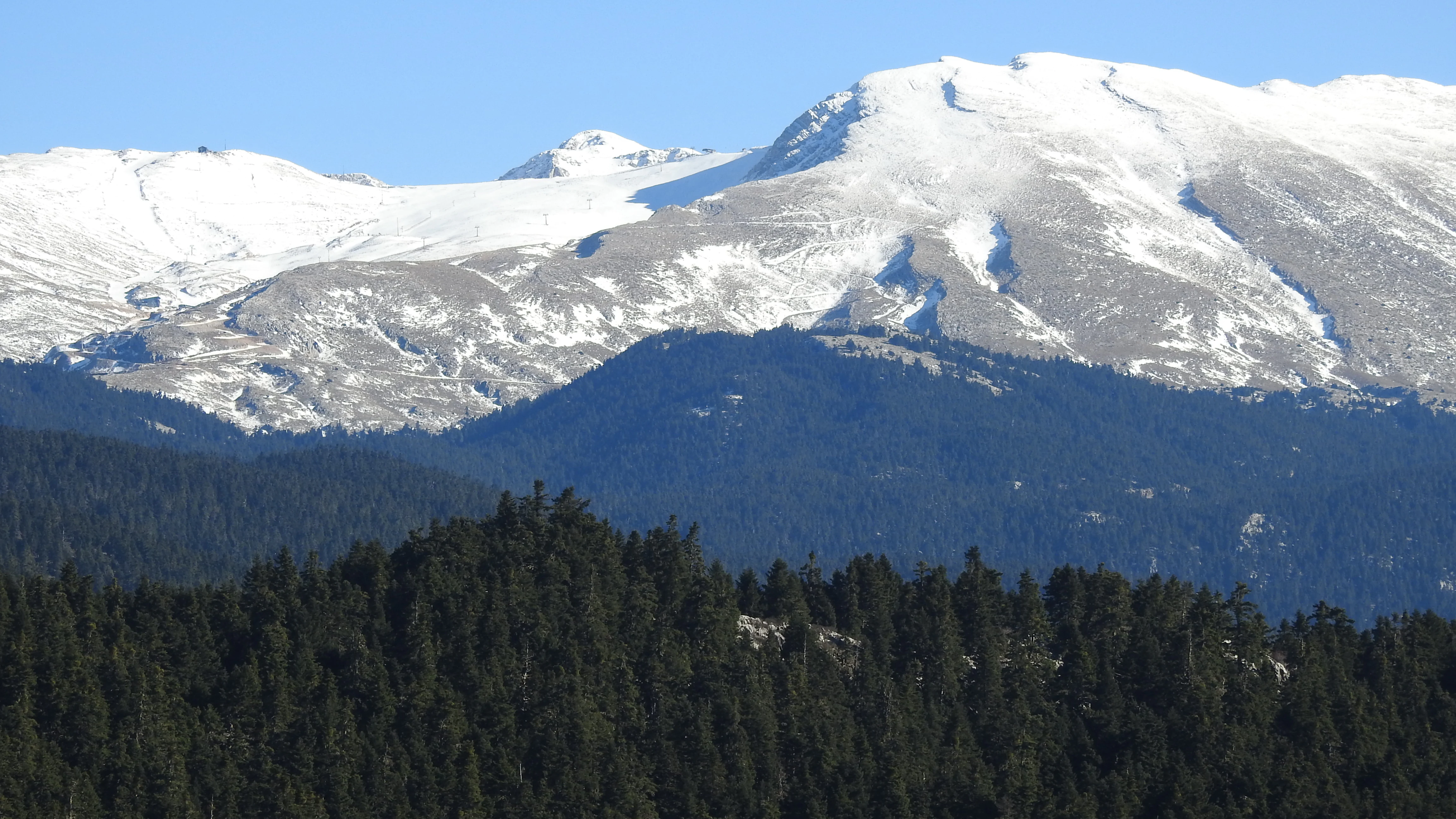 A wide landscape view of the snow-covered peaks of Mount Parnassus rising above a dense, dark green evergreen forest under a clear blue sky.