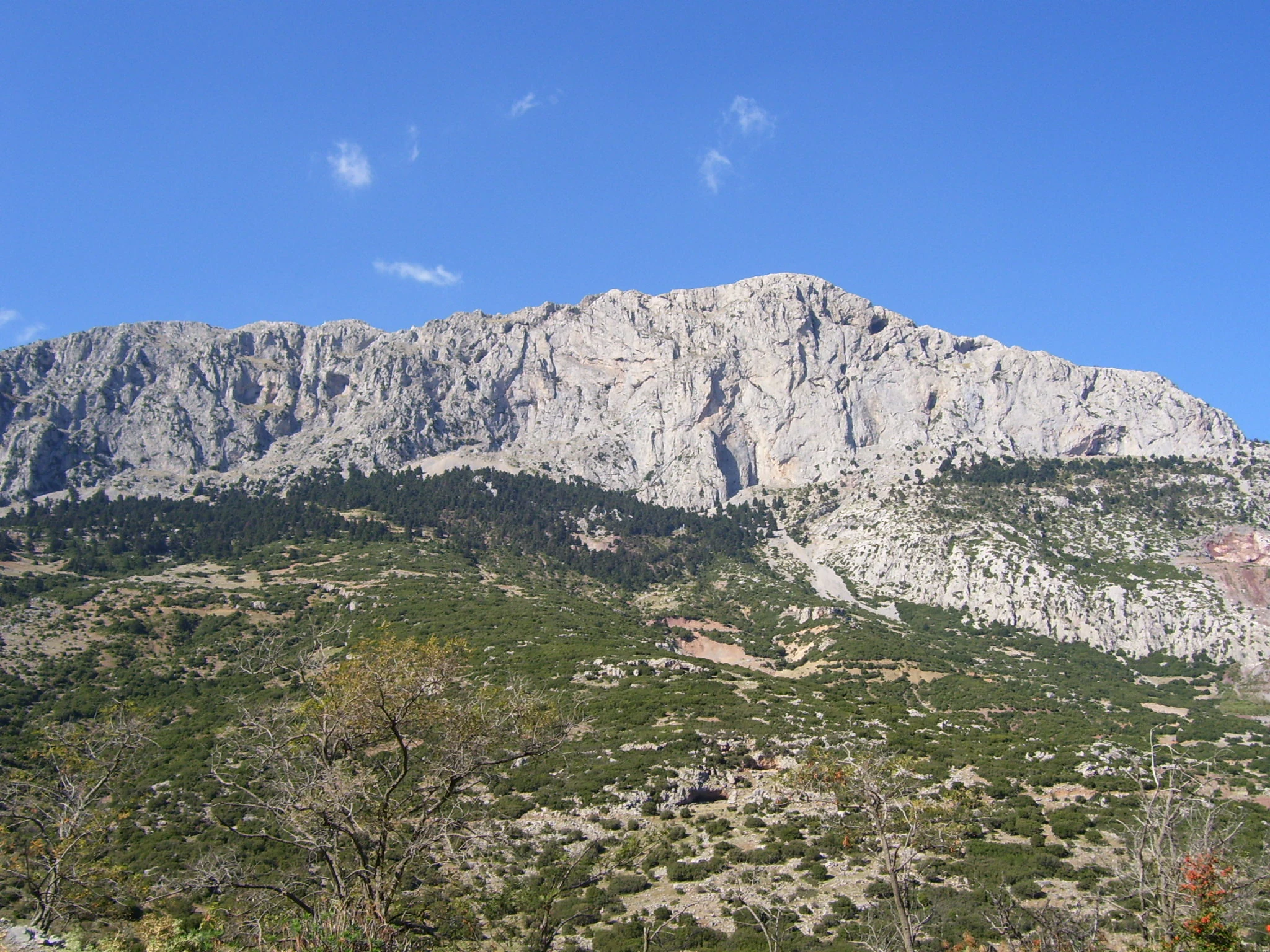 A wide view of the rocky, light-colored limestone slopes of Mount Parnassus above a forested and scrub-covered mountainside under a clear blue sky.
