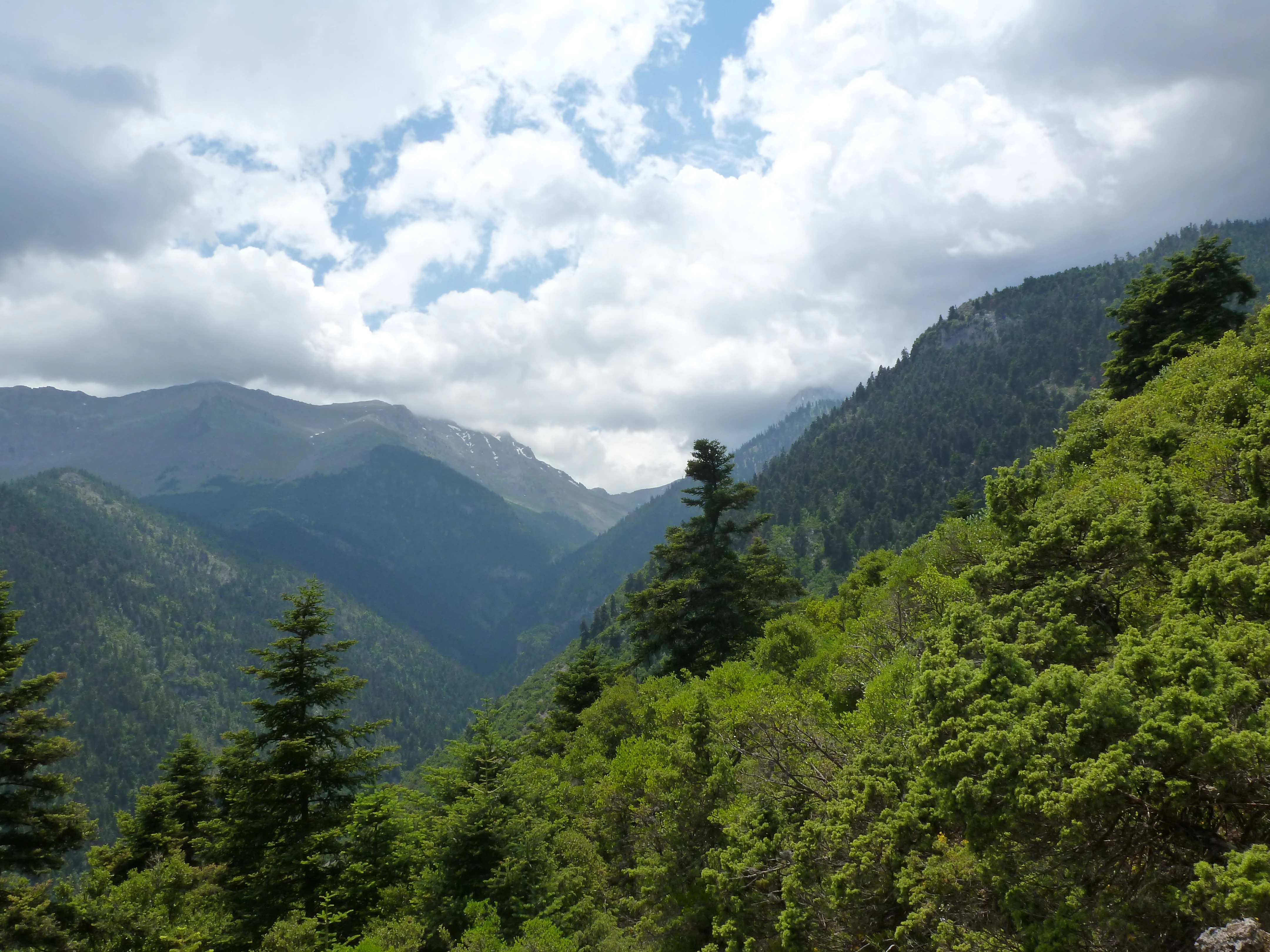A wide, mountainous landscape view featuring a deep forested gorge with rocky slopes, evergreen and deciduous trees, and a cloudy sky.