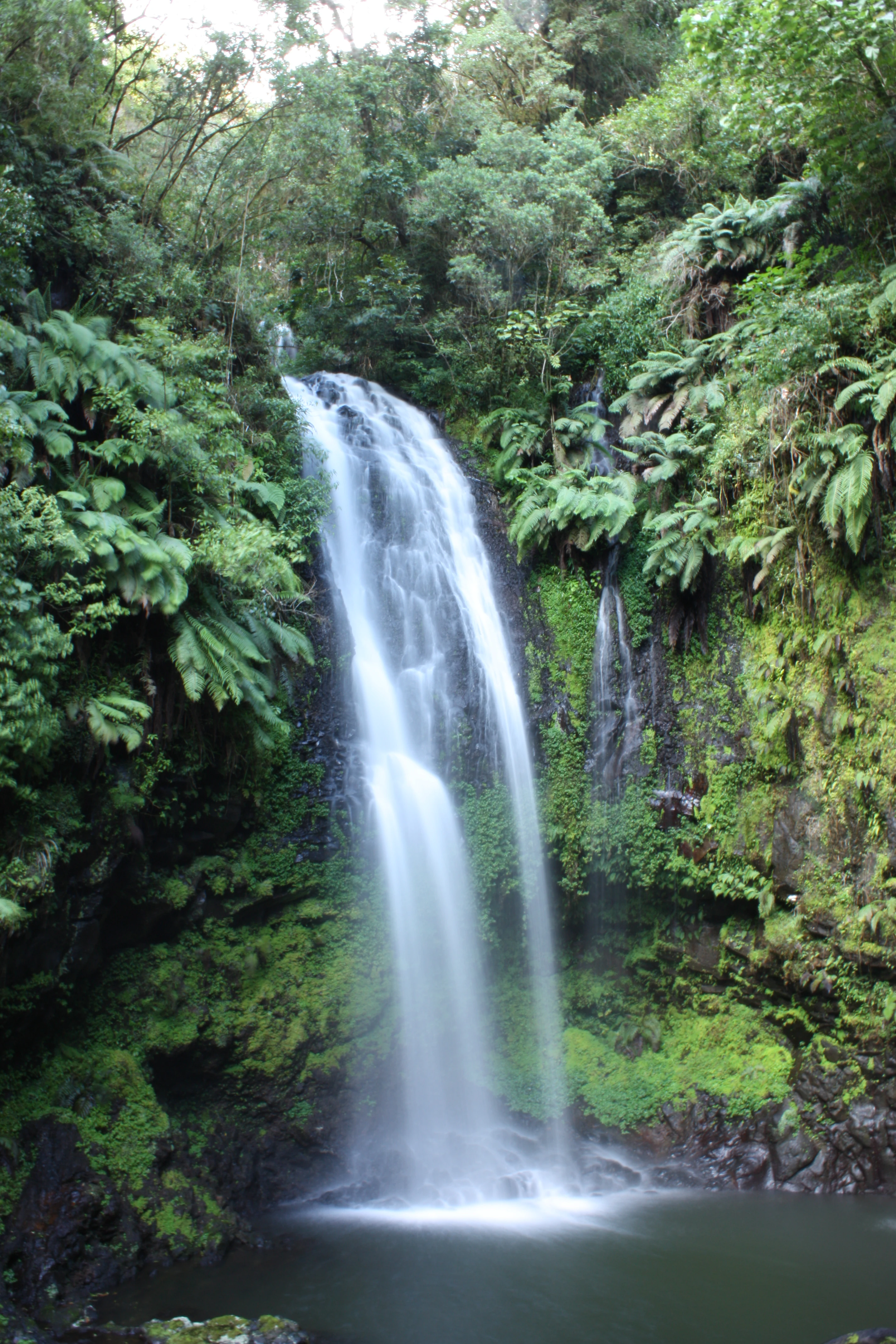 A waterfall cascades into a small pool, surrounded by dense tropical foliage, ferns, and moss-covered rock walls in Montagne d'Ambre National Park.