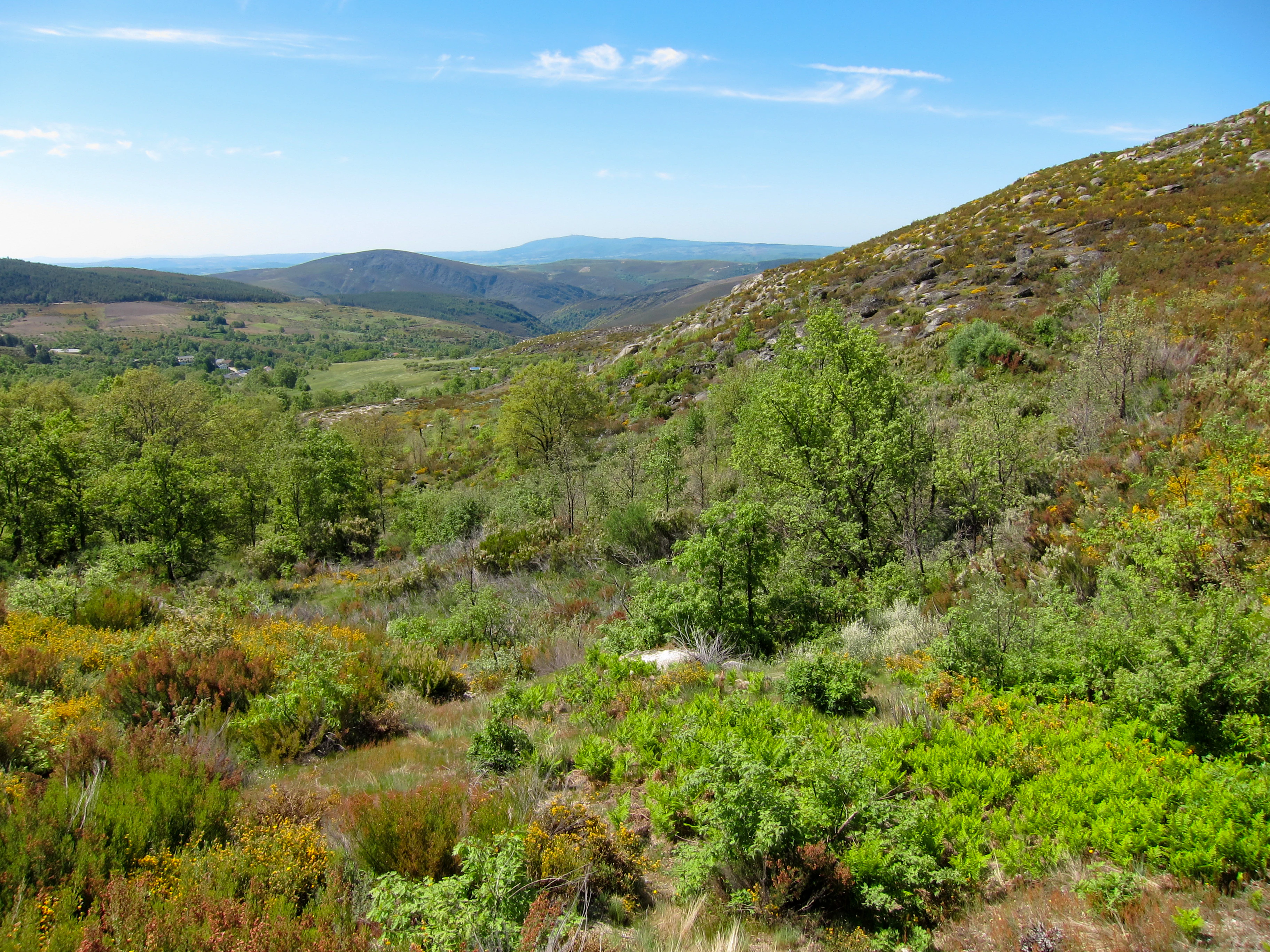 Rolling hills covered in green vegetation with distant mountains under a clear blue sky
