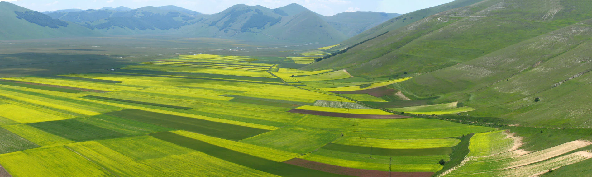 Wide landscape of green and yellow agricultural fields with mountain ranges in the background under a clear sky.