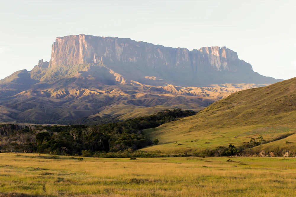 A wide, eye-level shot of the large, sheer-walled flat-topped Mount Kukenan tepuy rising above golden grassy savannahs and forested hills in Venezuela.