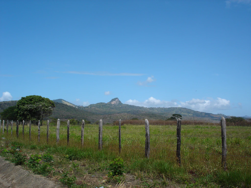 A wide view of a prominent limestone peak rising above rolling grassy hills and a wooden post fence in the foreground.