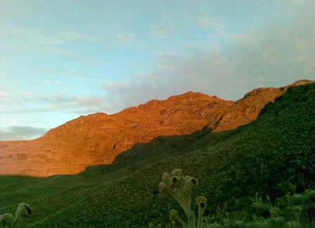 A mountain peak under golden hour sunlight, with green, grassy slopes in the foreground.
