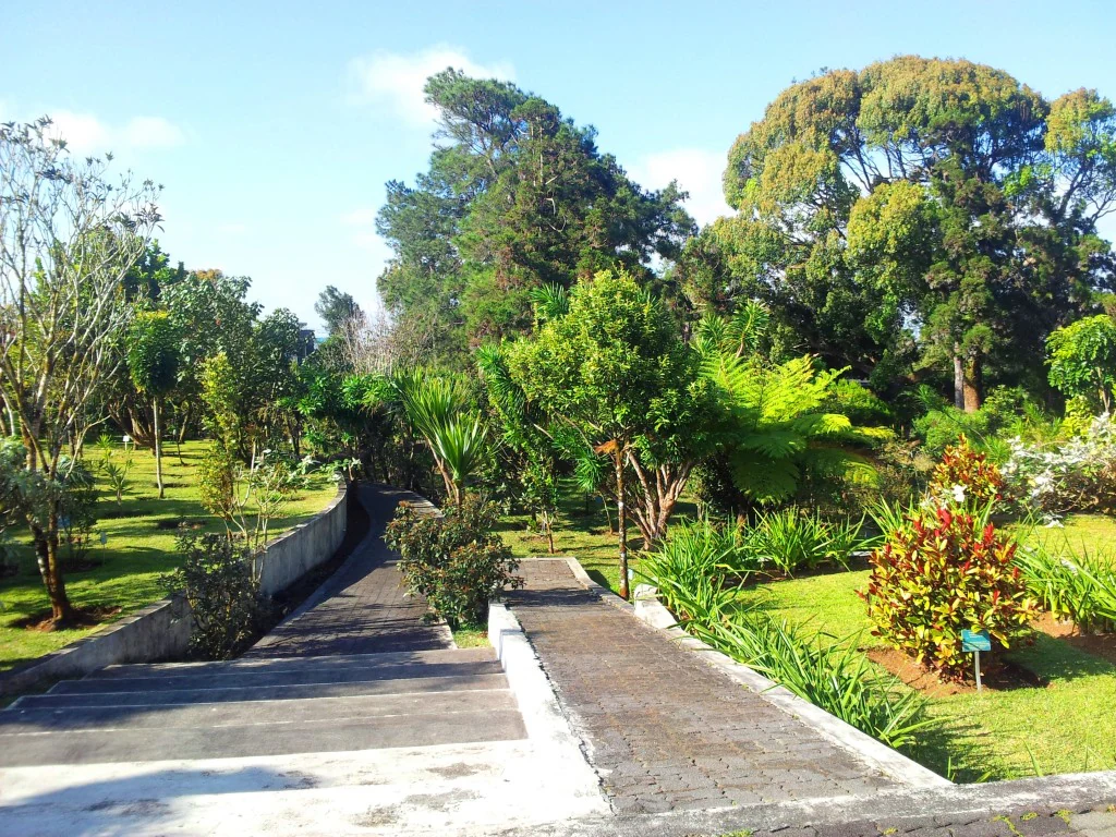 A wide stone staircase and walkway descending into a lush green forest park with a variety of tropical trees, shrubs, and ferns.