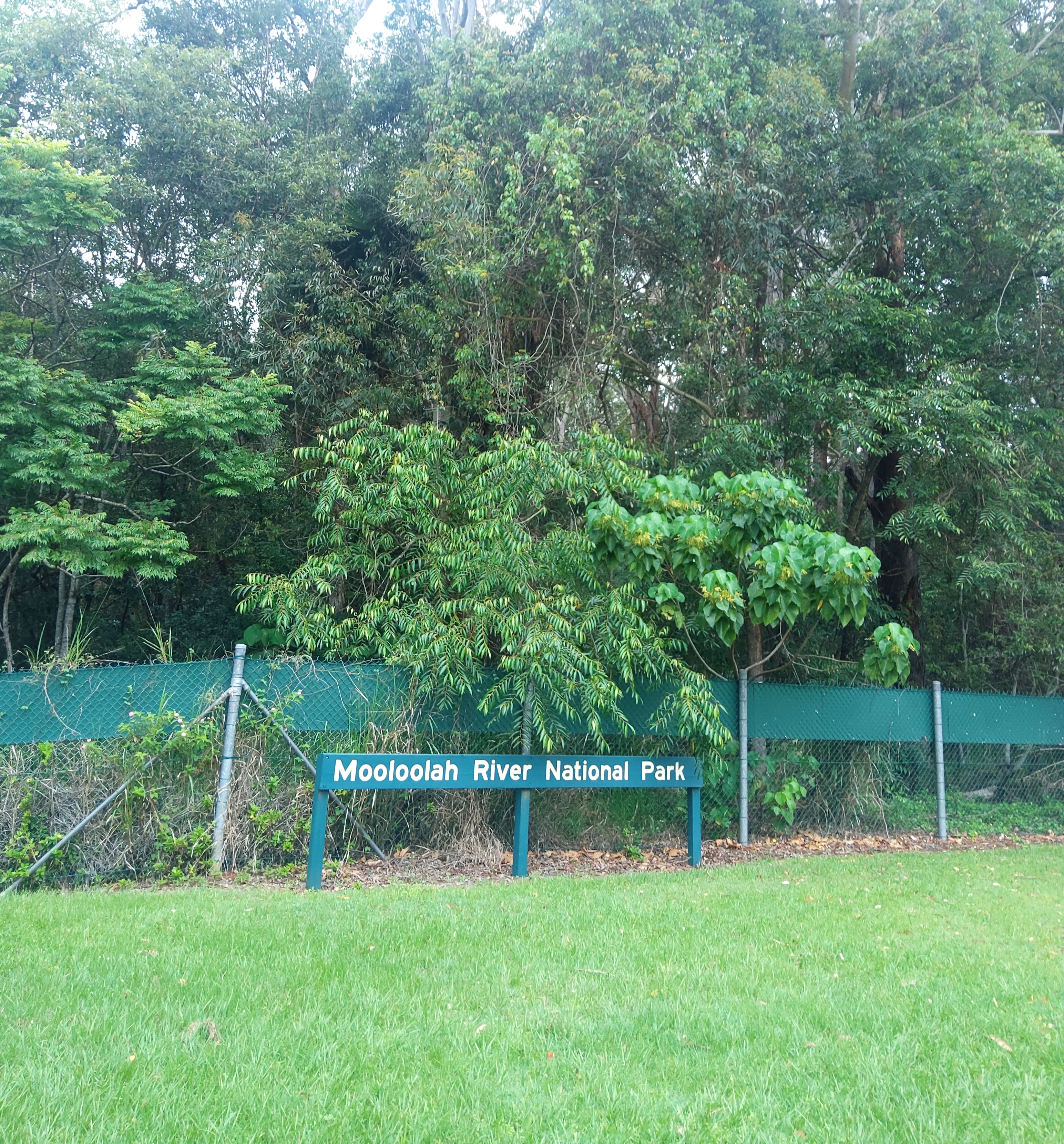 Cartel verde con texto blanco que dice 'Mooloolah River National Park', rodeado de vegetación verde y hierba