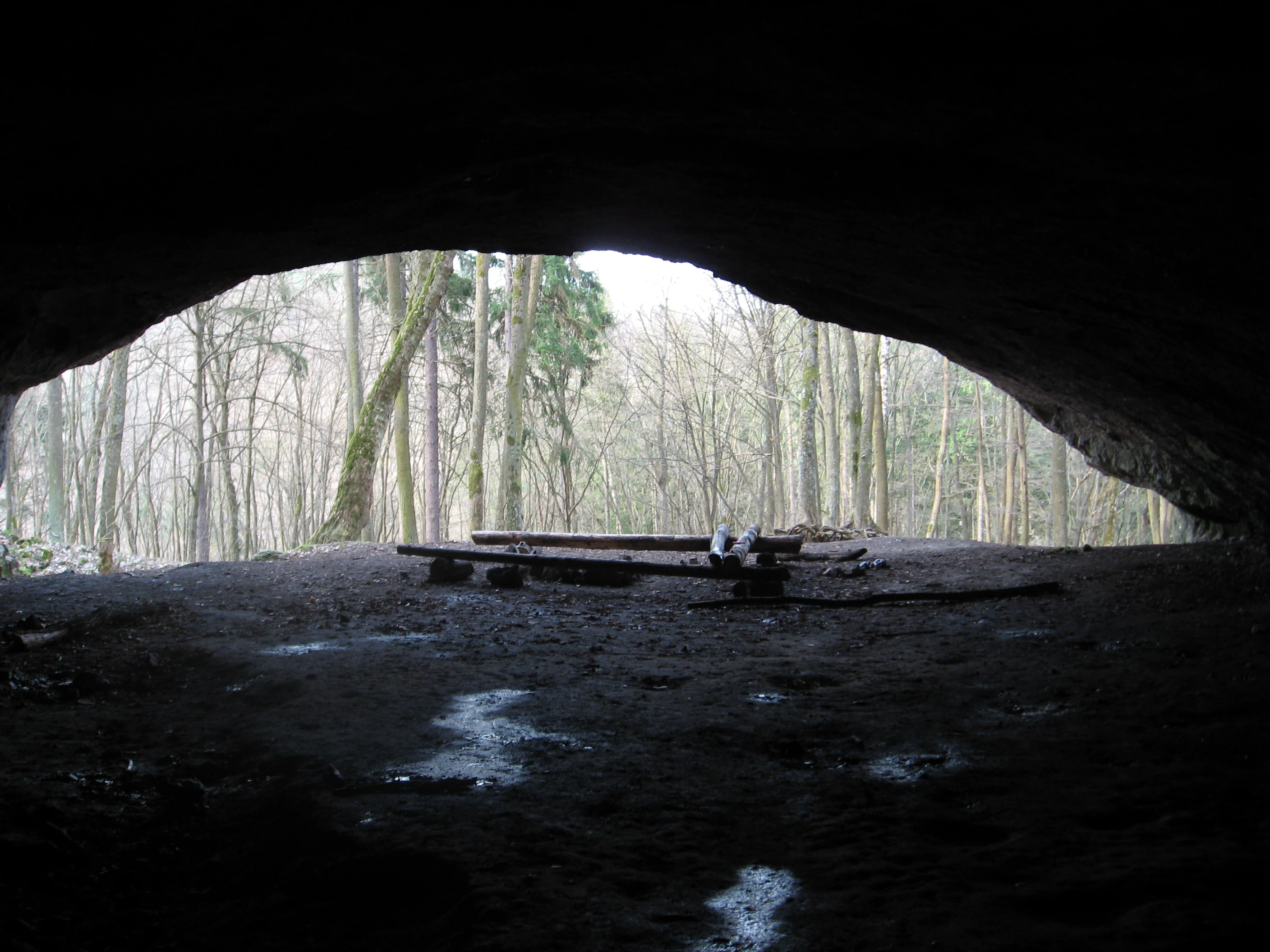 Dark cave entrance leading to a forested area with a wooden platform and puddles on the ground inside