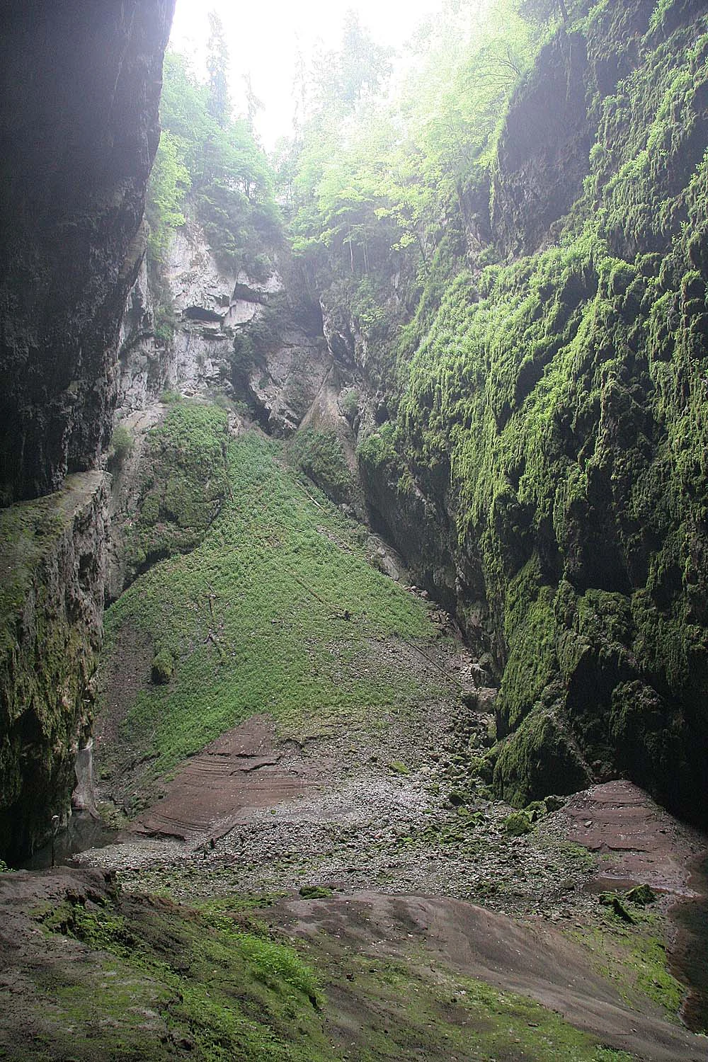 Steep moss-covered cliffs and rocky terrain viewed from inside Punkva Cave exit, with grassy slope and small stream visible