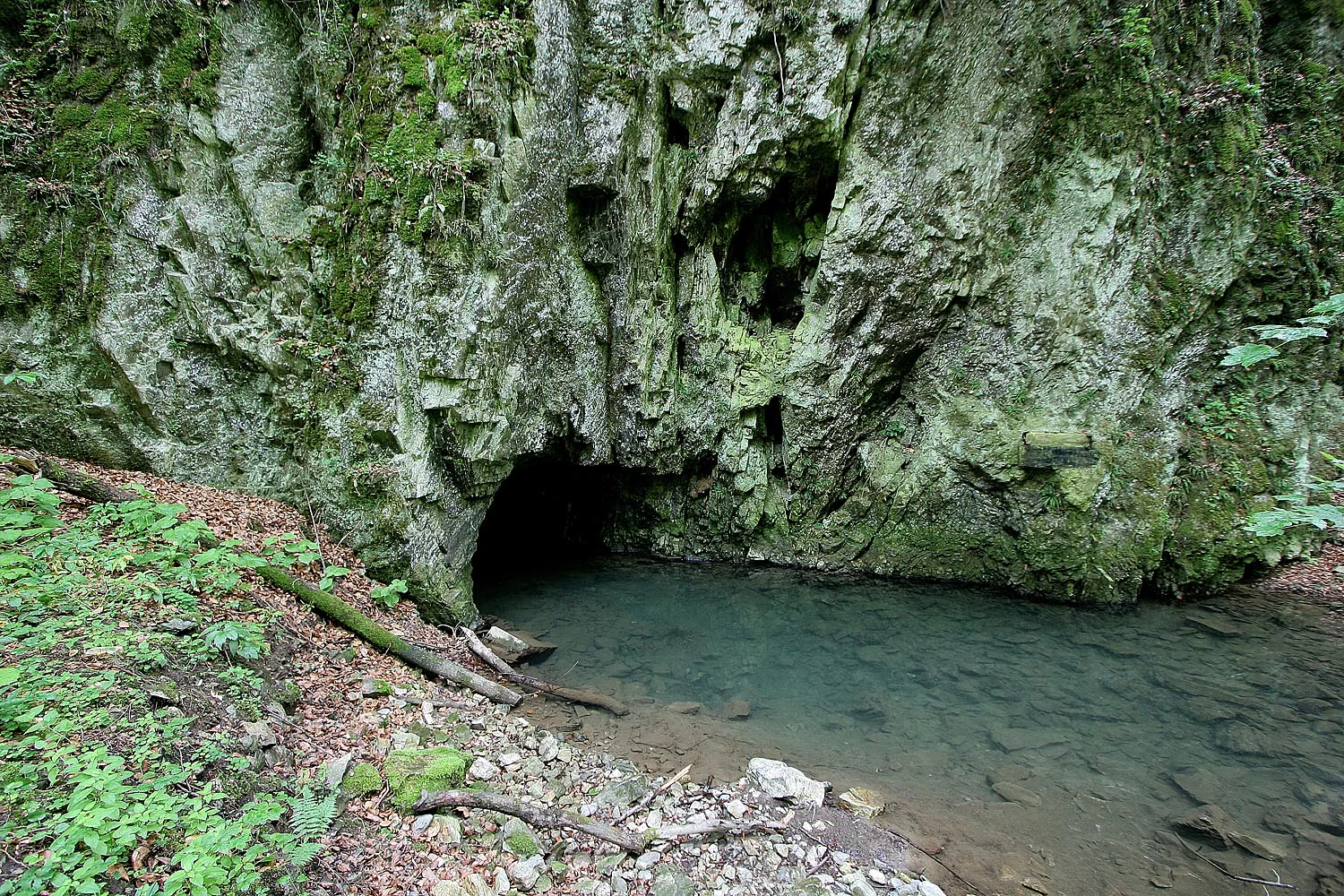 Cave entrance with moss-covered rocks and a small stream flowing into a shallow pool