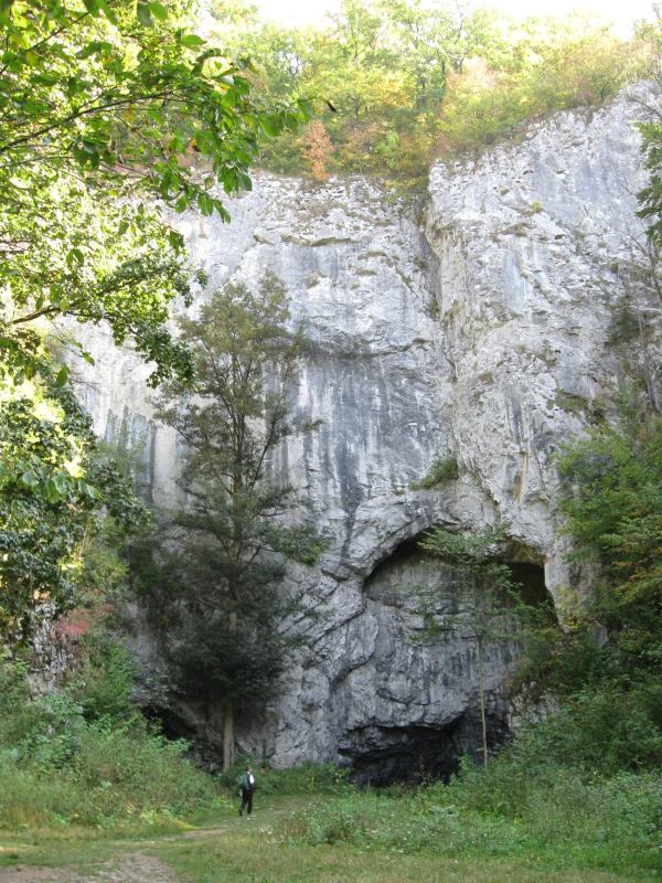 Limestone cliff with cave openings surrounded by greenery and trees, a person standing near the entrance