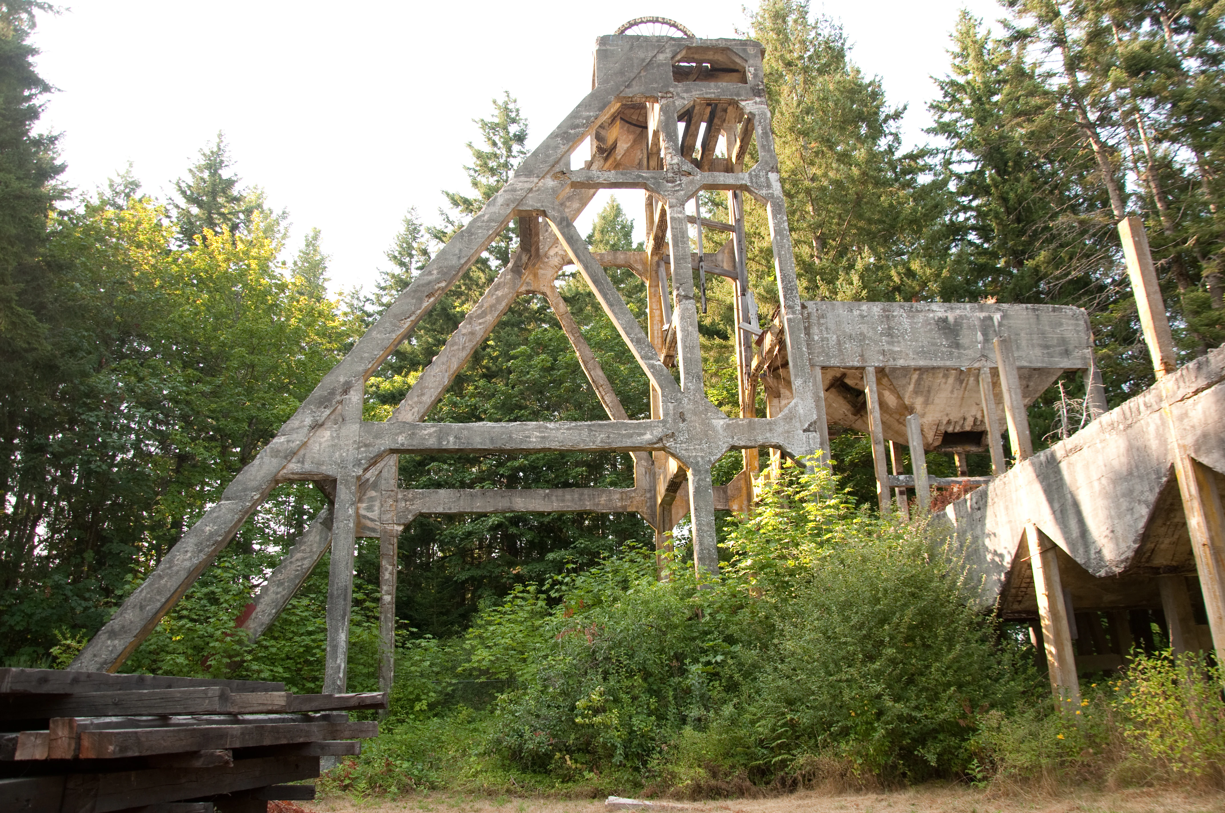 The concrete structural skeleton of a large, weathered industrial headframe from the Morden Colliery, surrounded by dense evergreen trees.