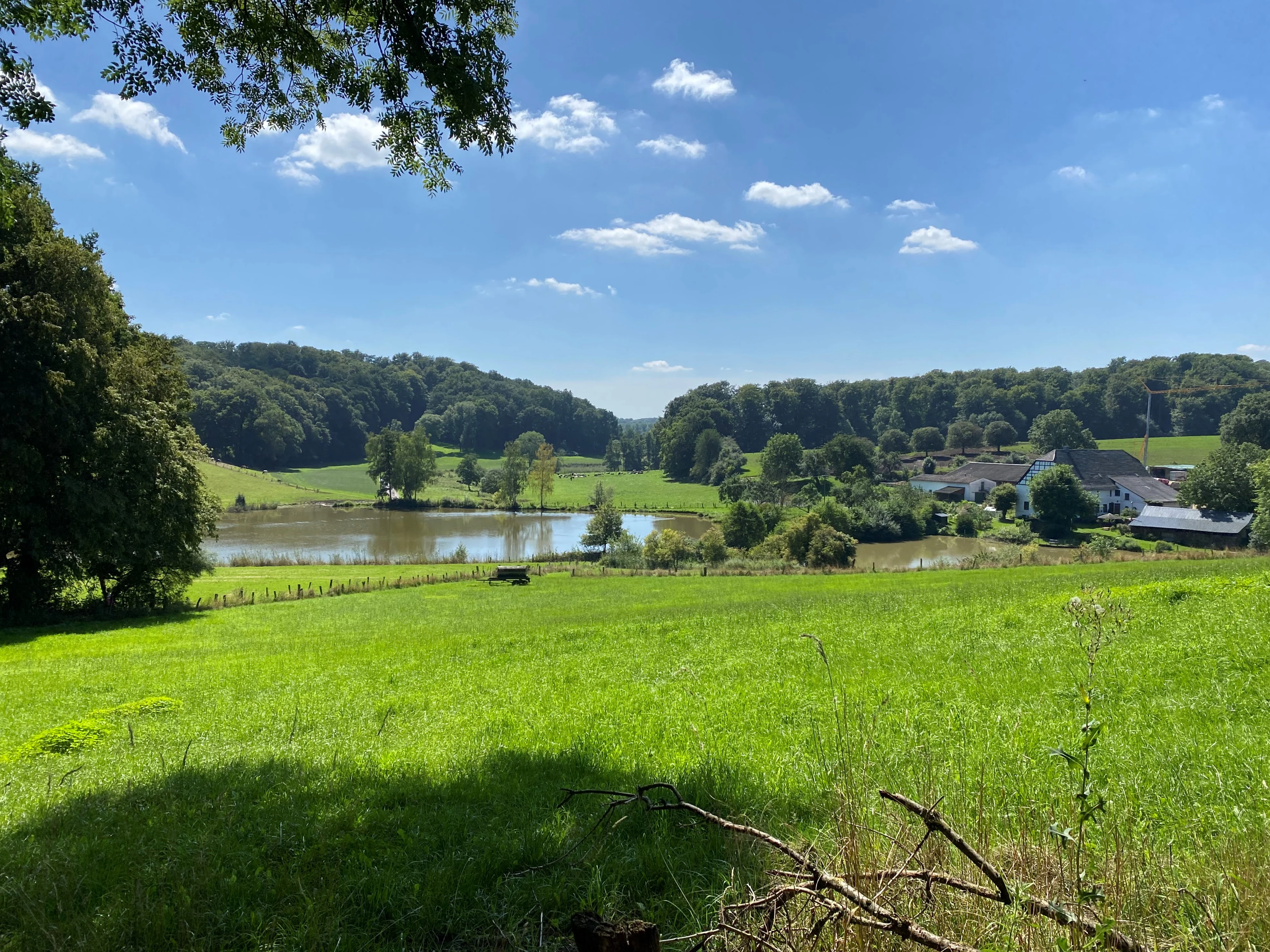 A wide sunny landscape view of a green meadow in the foreground leading to a small pond surrounded by trees and a few buildings in the distance.