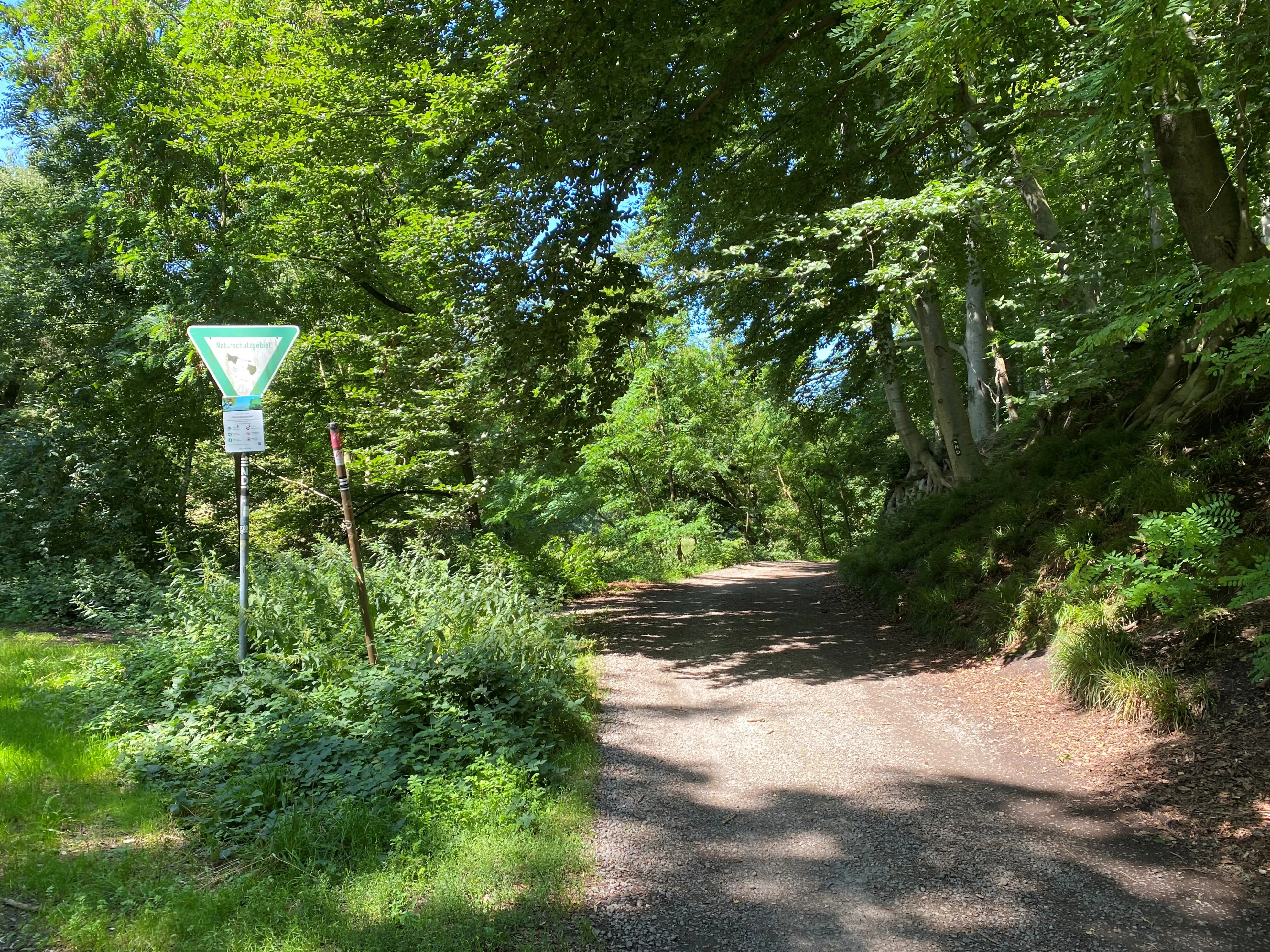 A dirt path leading into a lush green forest, with a triangular green nature reserve sign on a pole on the left side of the trail.