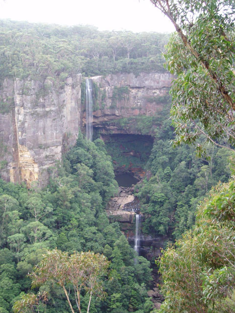 Cascada alta cayendo por un acantilado rocoso rodeada de un denso bosque verde