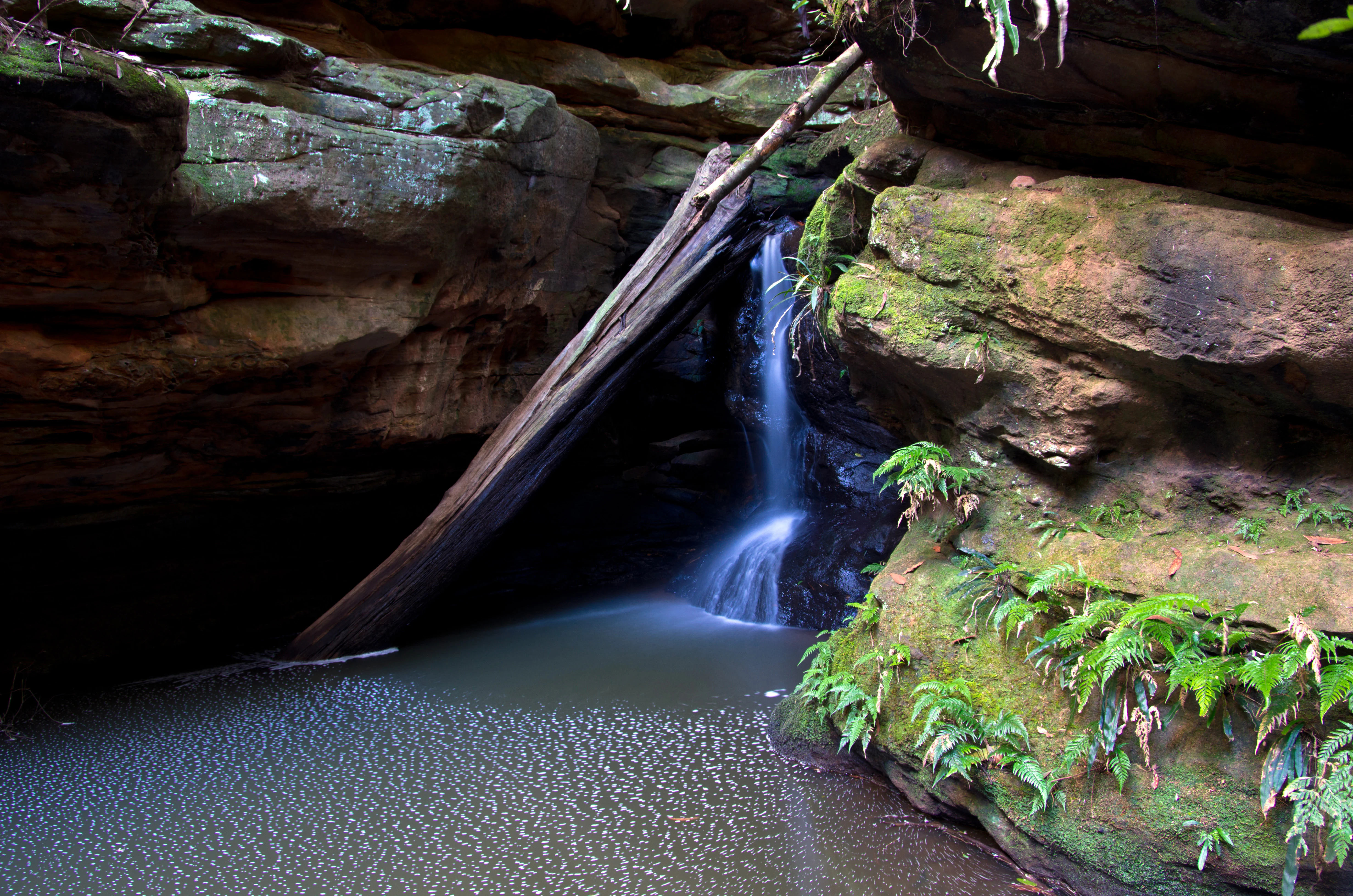 Cascada cayendo sobre acantilados rocosos en una poza tranquila, rodeada de rocas musgosas y helechos verdes