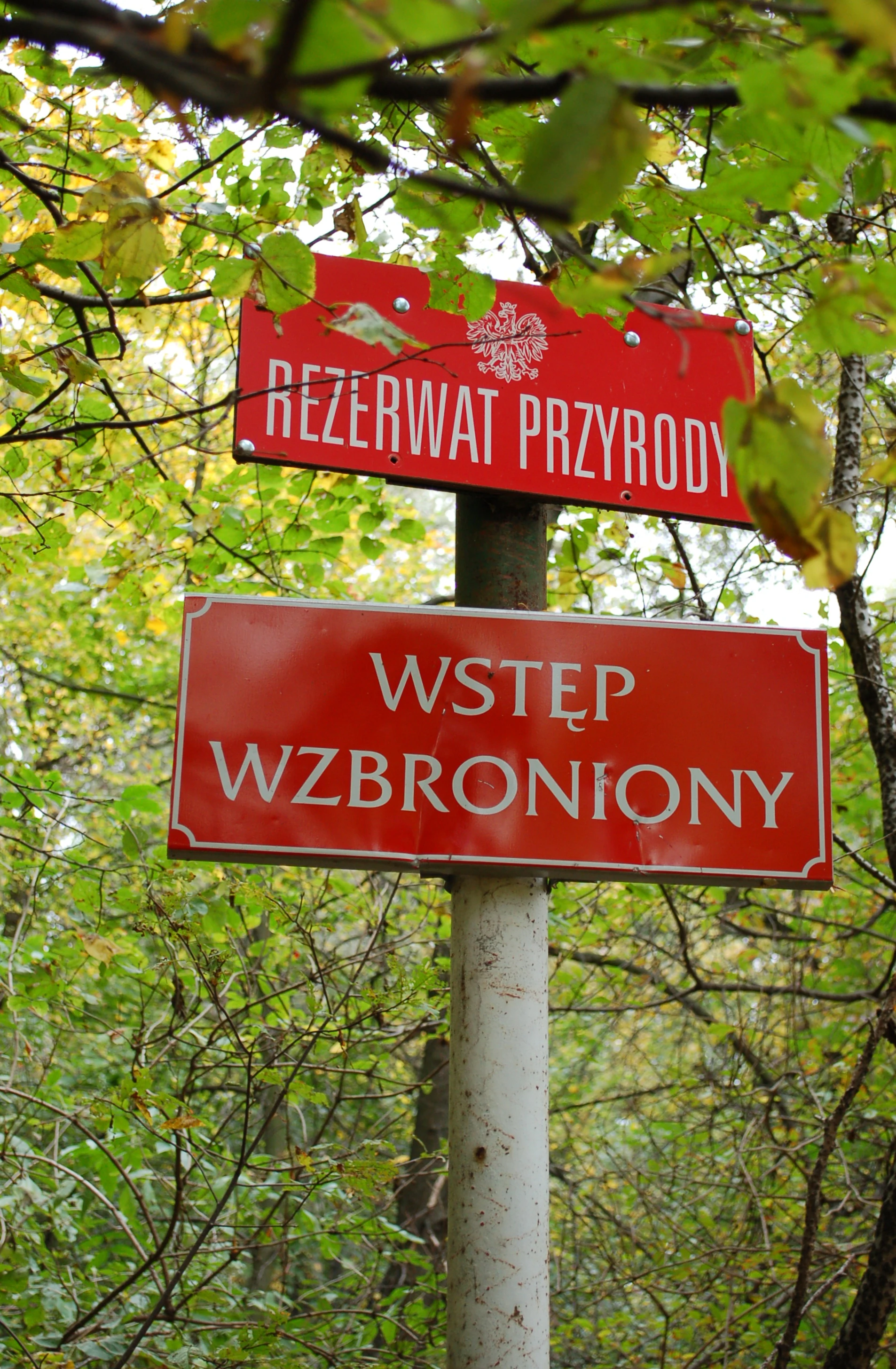 Two red rectangular signs mounted on a post in a forest; the top sign features the Polish national emblem and the text REZERWAT PRZYRODY, while the lower sign reads WSTĘP WZBRONIONY.