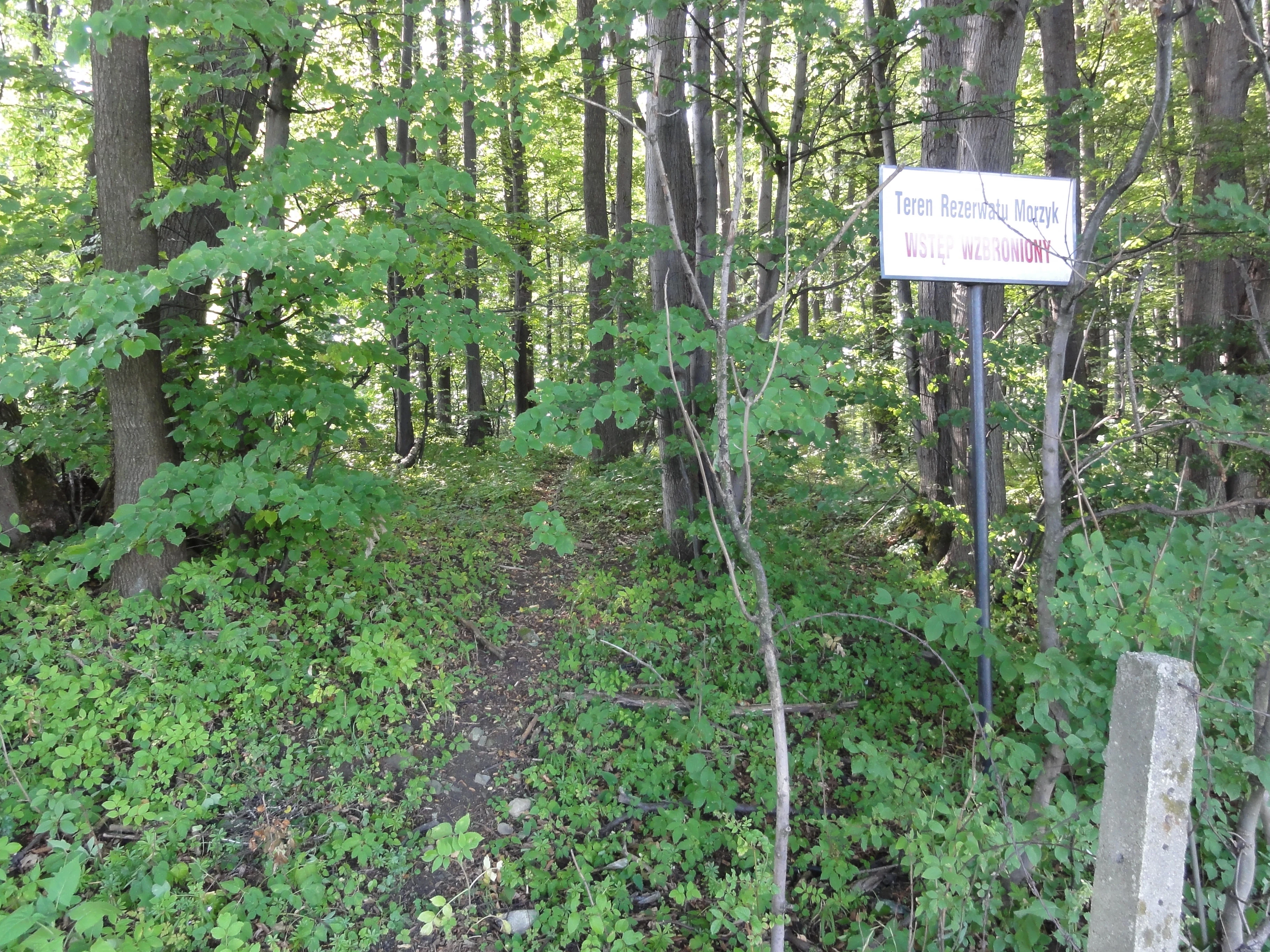 Morzyk Nature Reserve in Grodziec