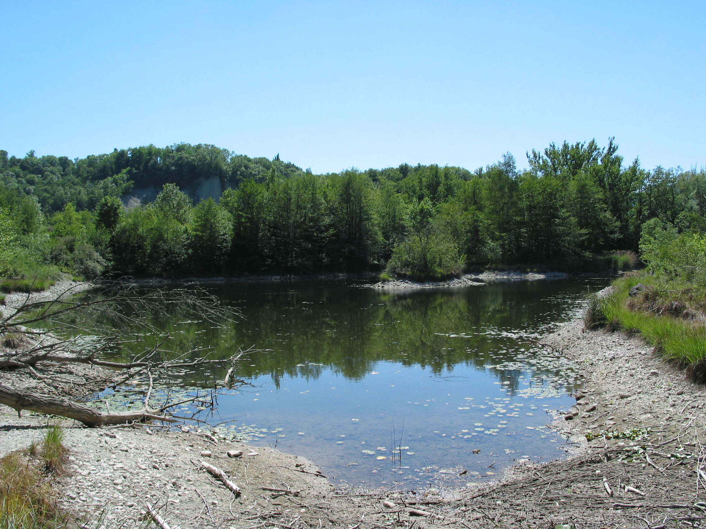 A calm, small pond surrounded by dense green forest and a pebbled shoreline under a clear blue sky.