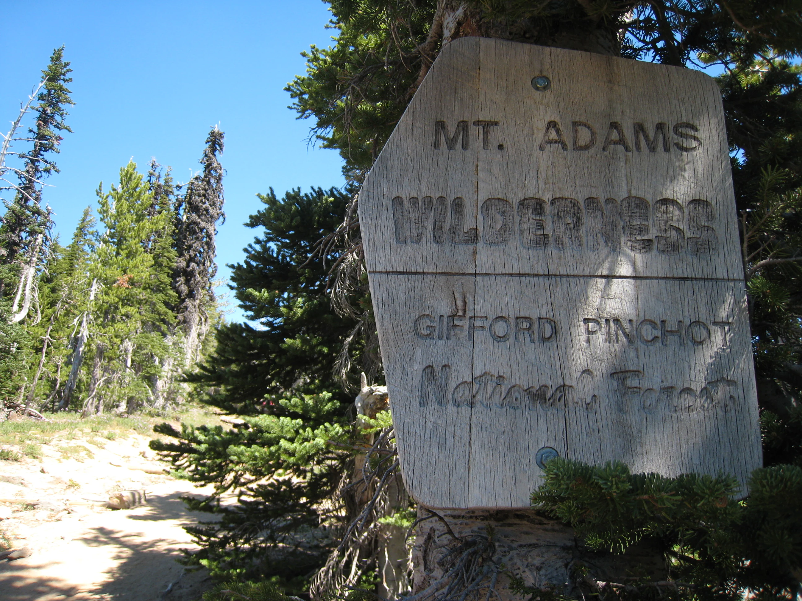 A weathered wooden sign posted in a forest setting reads Mt. Adams Wilderness and Gifford Pinchot National Forest.
