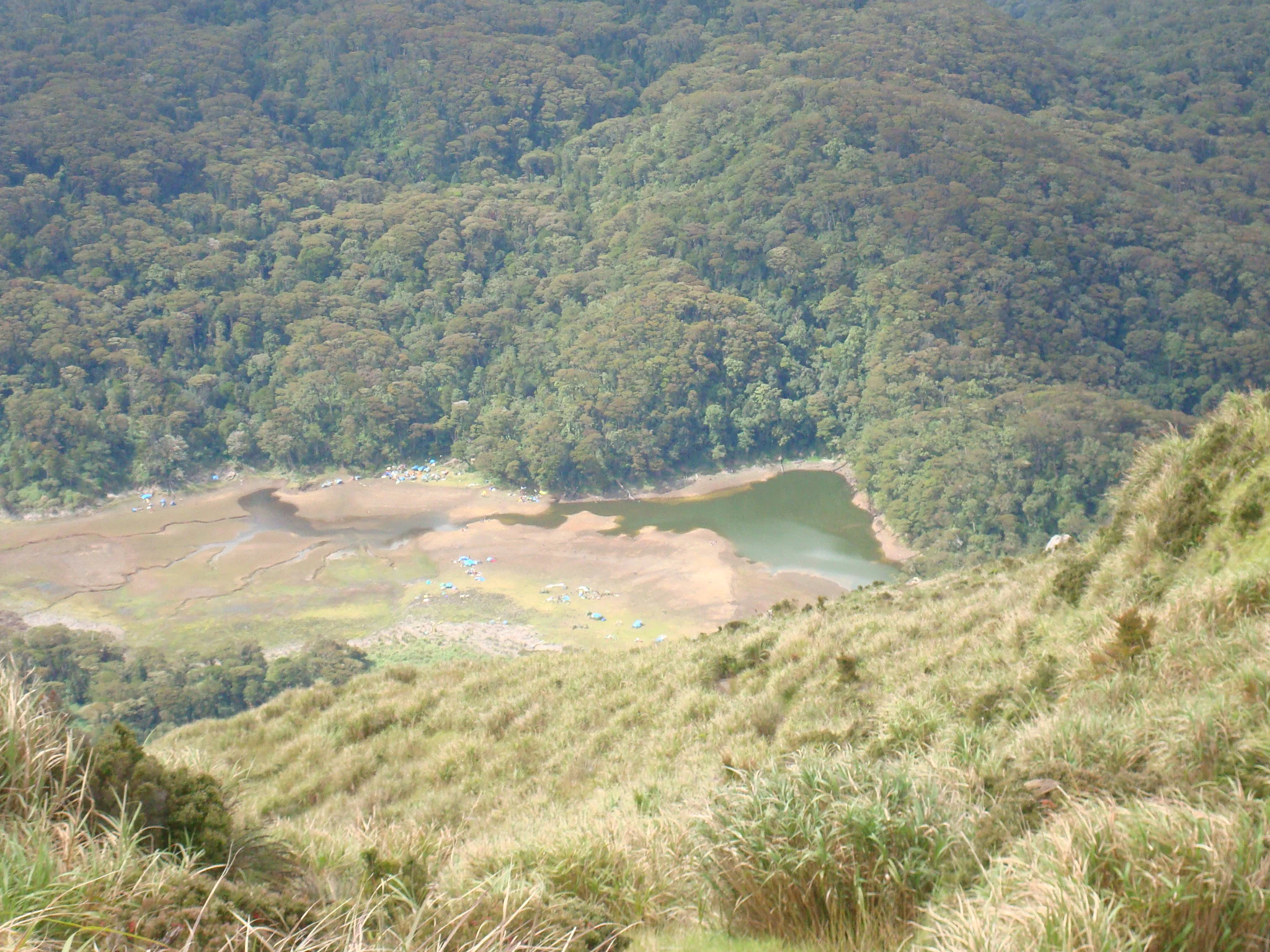 An elevated, wide view looking down at a greenish, irregularly shaped lake surrounded by mudflats and a dense, dark green forest on the slopes of a mountain.