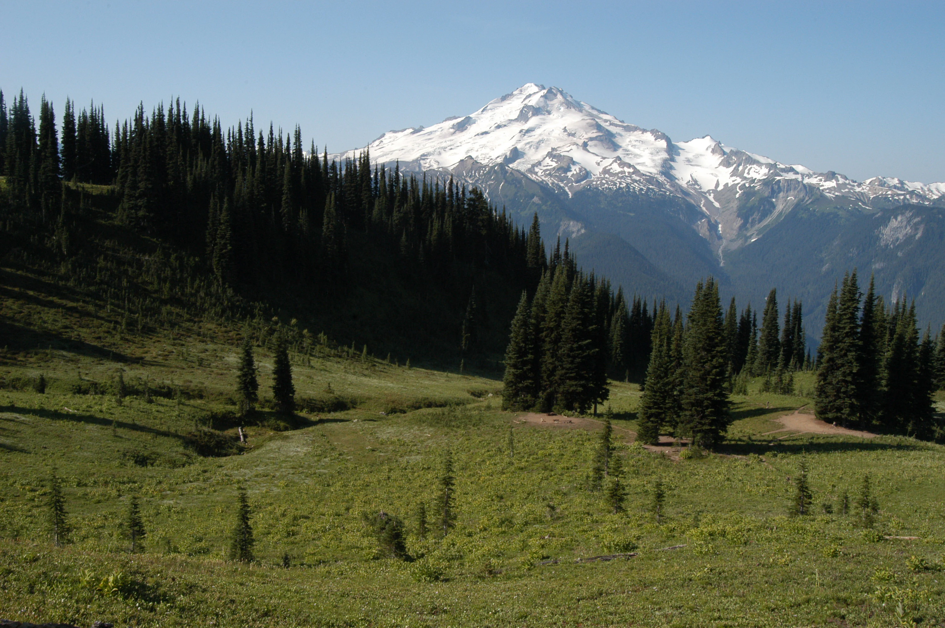 A wide mountain landscape featuring a large snow-capped peak in the distance, viewed from a rolling green alpine meadow with scattered evergreen trees in the foreground.