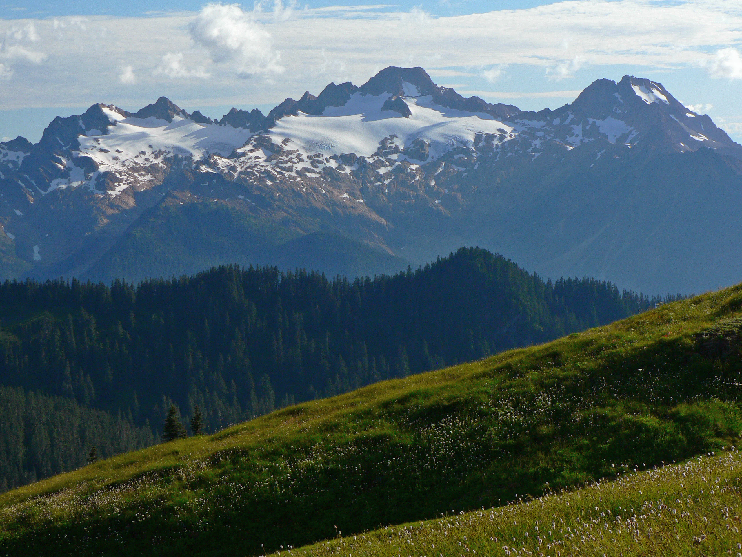 A wide mountain landscape featuring snow-covered peaks, a forested valley, and a grassy meadow in the foreground.