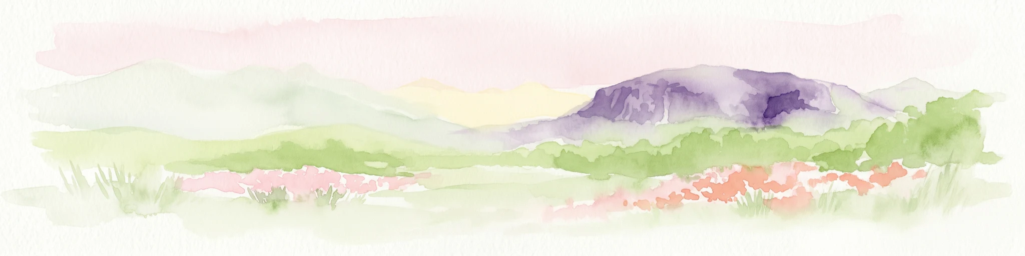 Watercolor depiction of Mount Coolum mountain with flowering fields in the foreground